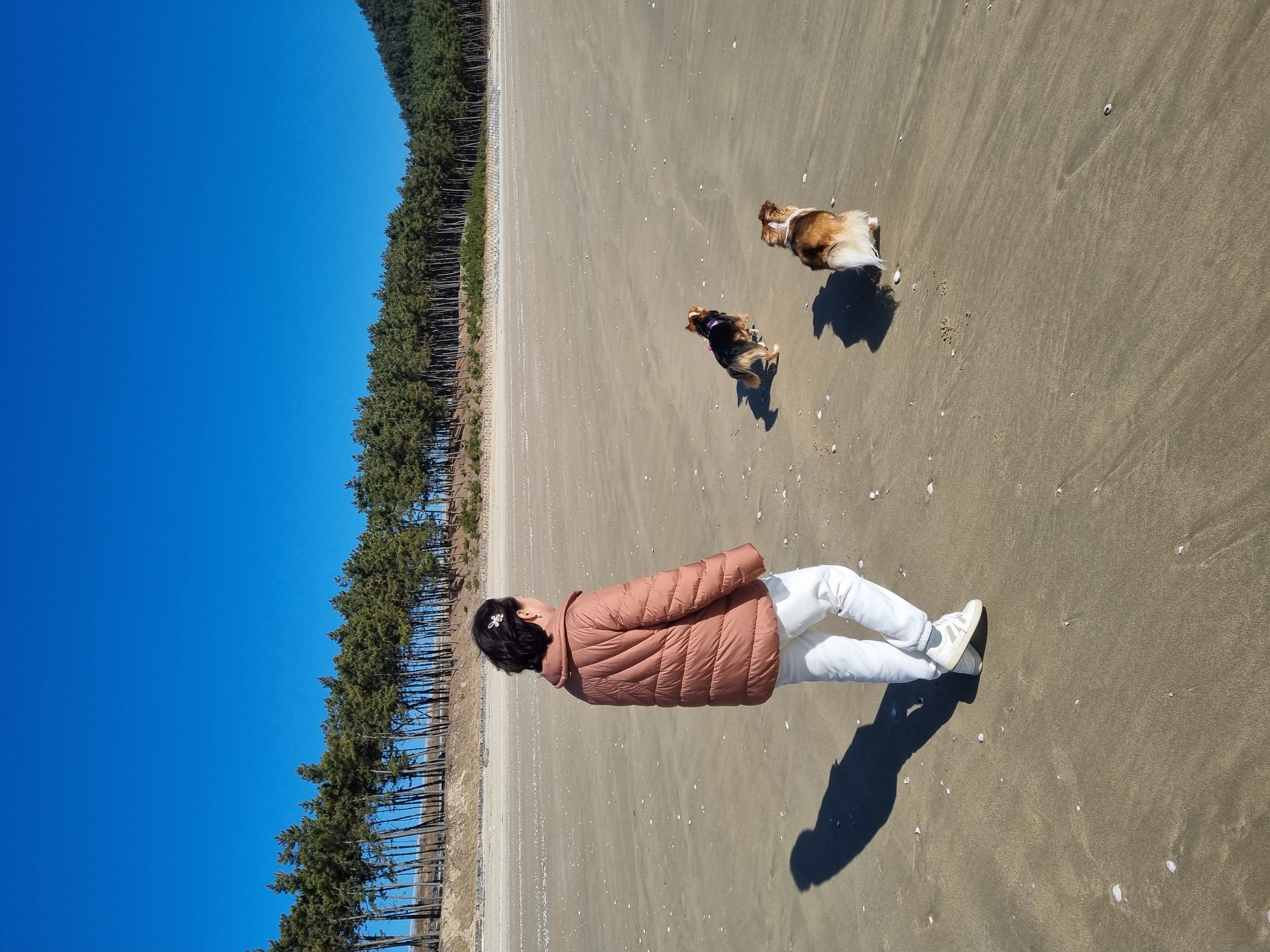 달래의 여행ㅡ해도