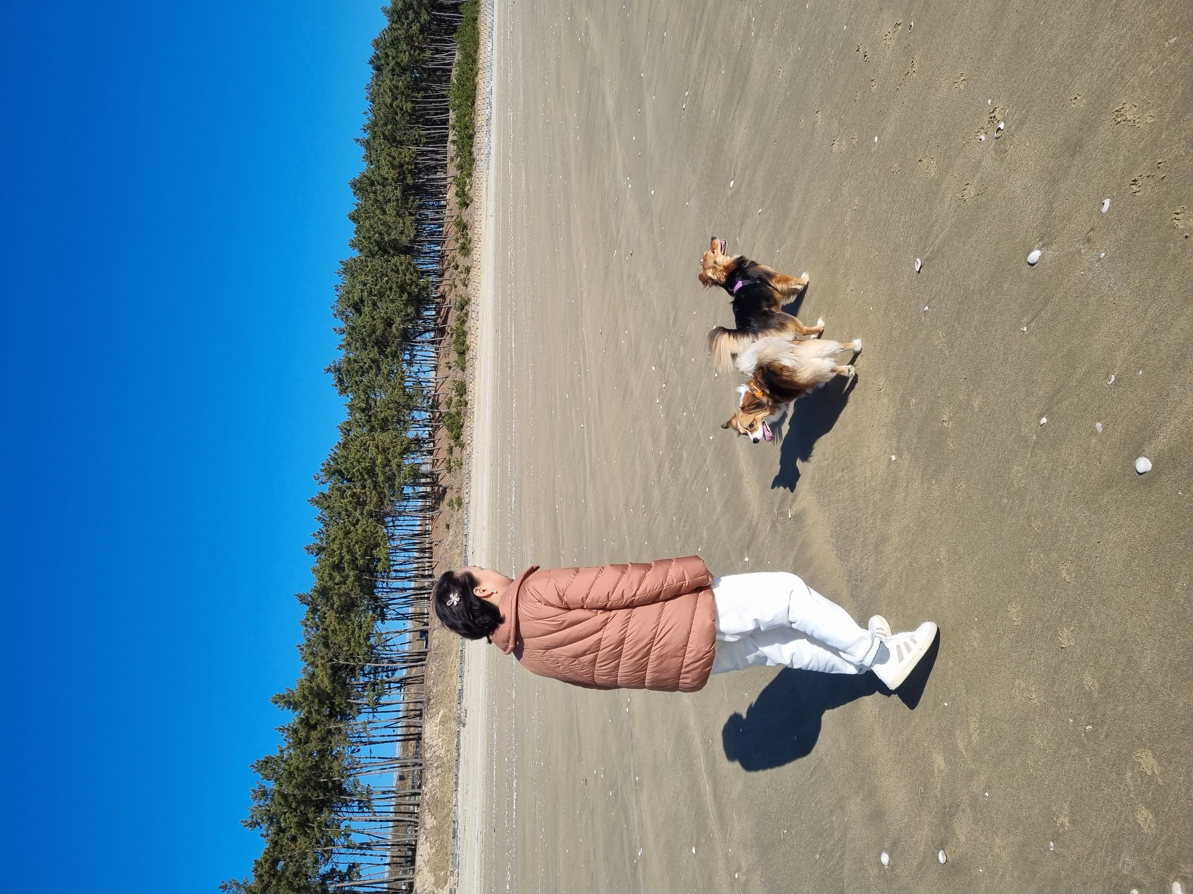 달래의 여행ㅡ해도