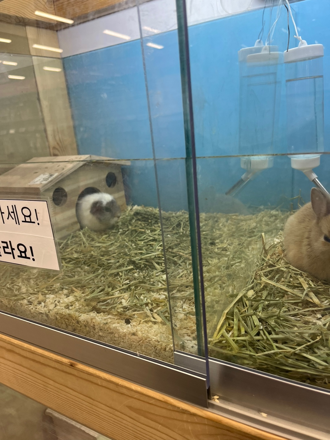 마트 내 소동물 판매 환경 관련 제보합니다