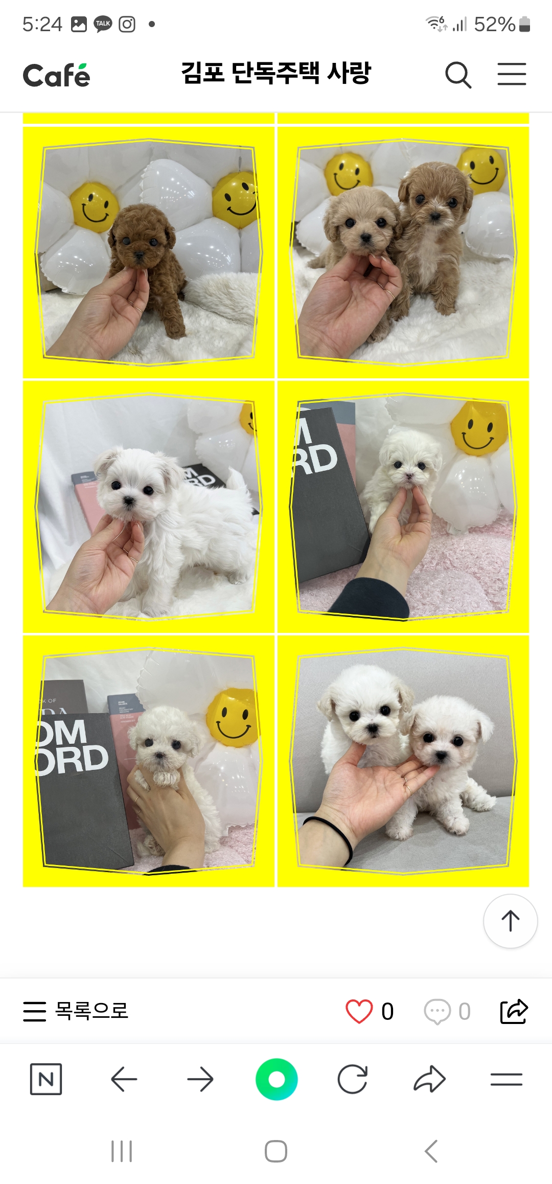 걱정되서 제보드립니다.