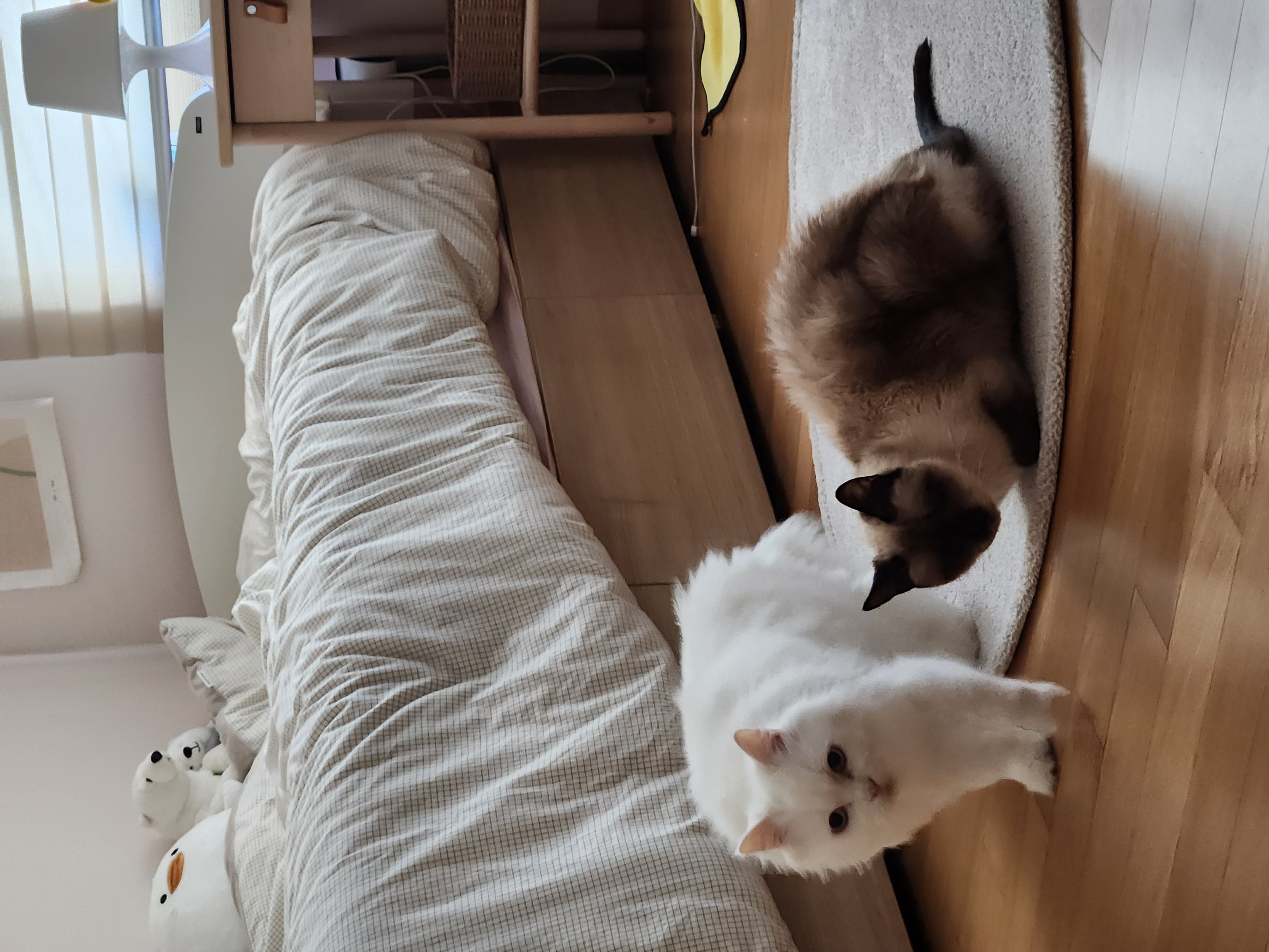 모델이와 1년, 포도와 1년6개월 
