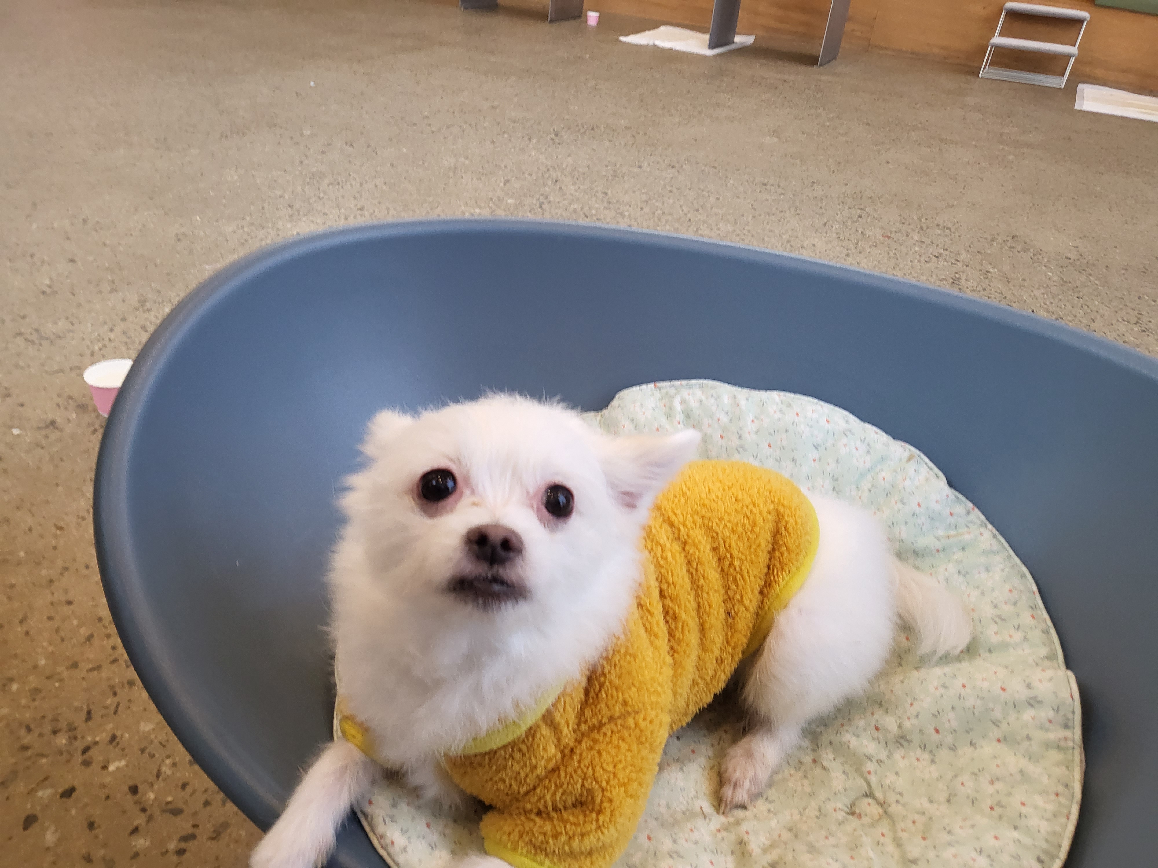 아산 오투(현 설희) 근황올려요^^