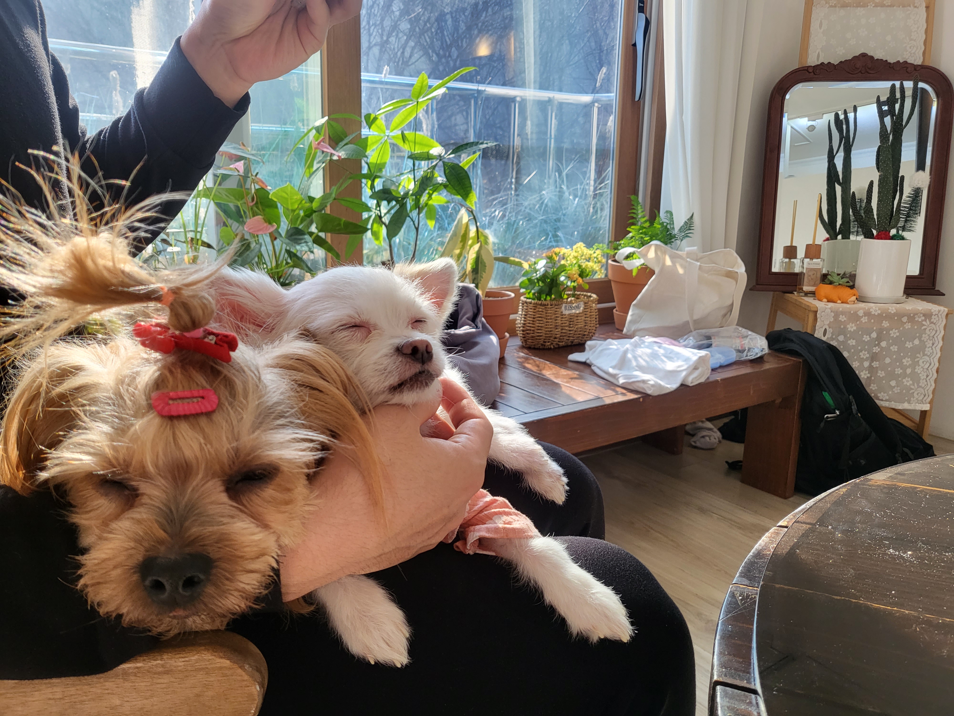 아산 오투(현 설희) 근황올려요^^