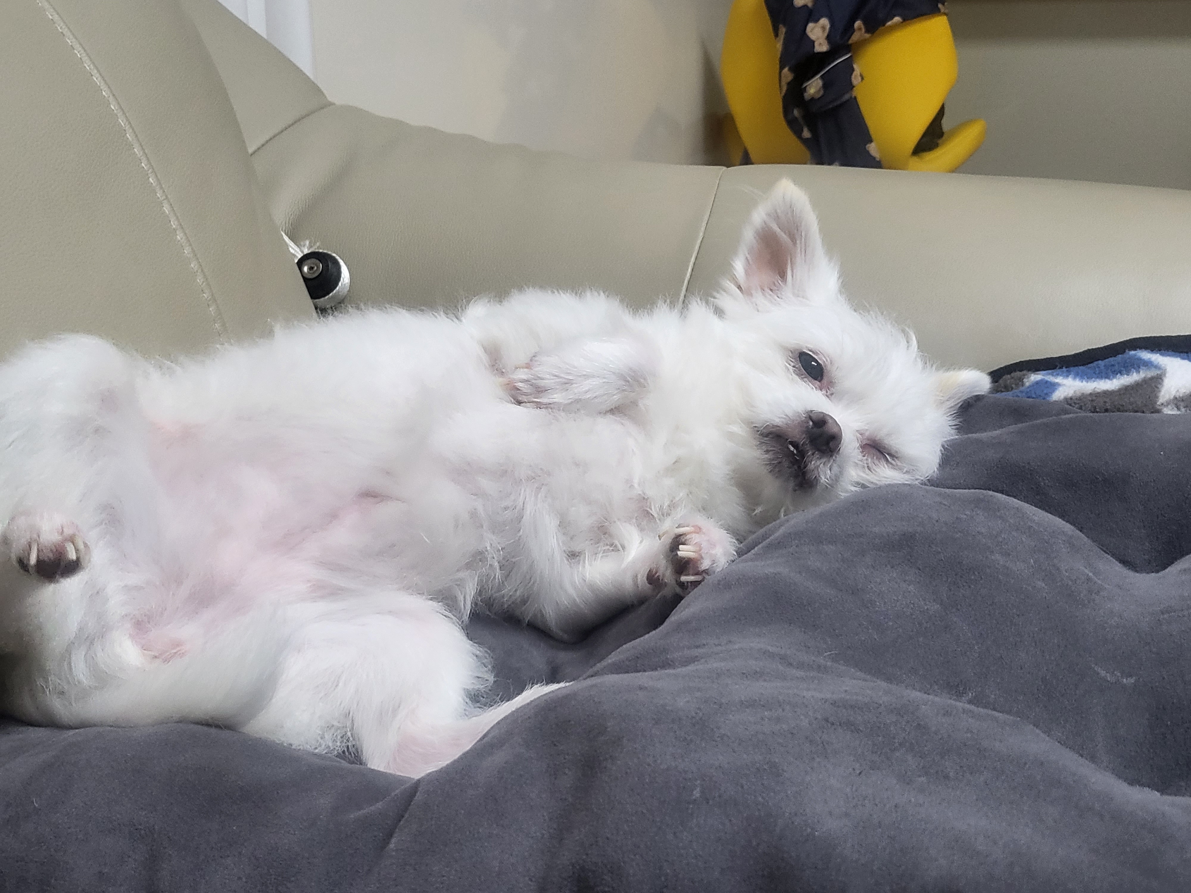 아산 오투(현 설희) 근황올려요^^