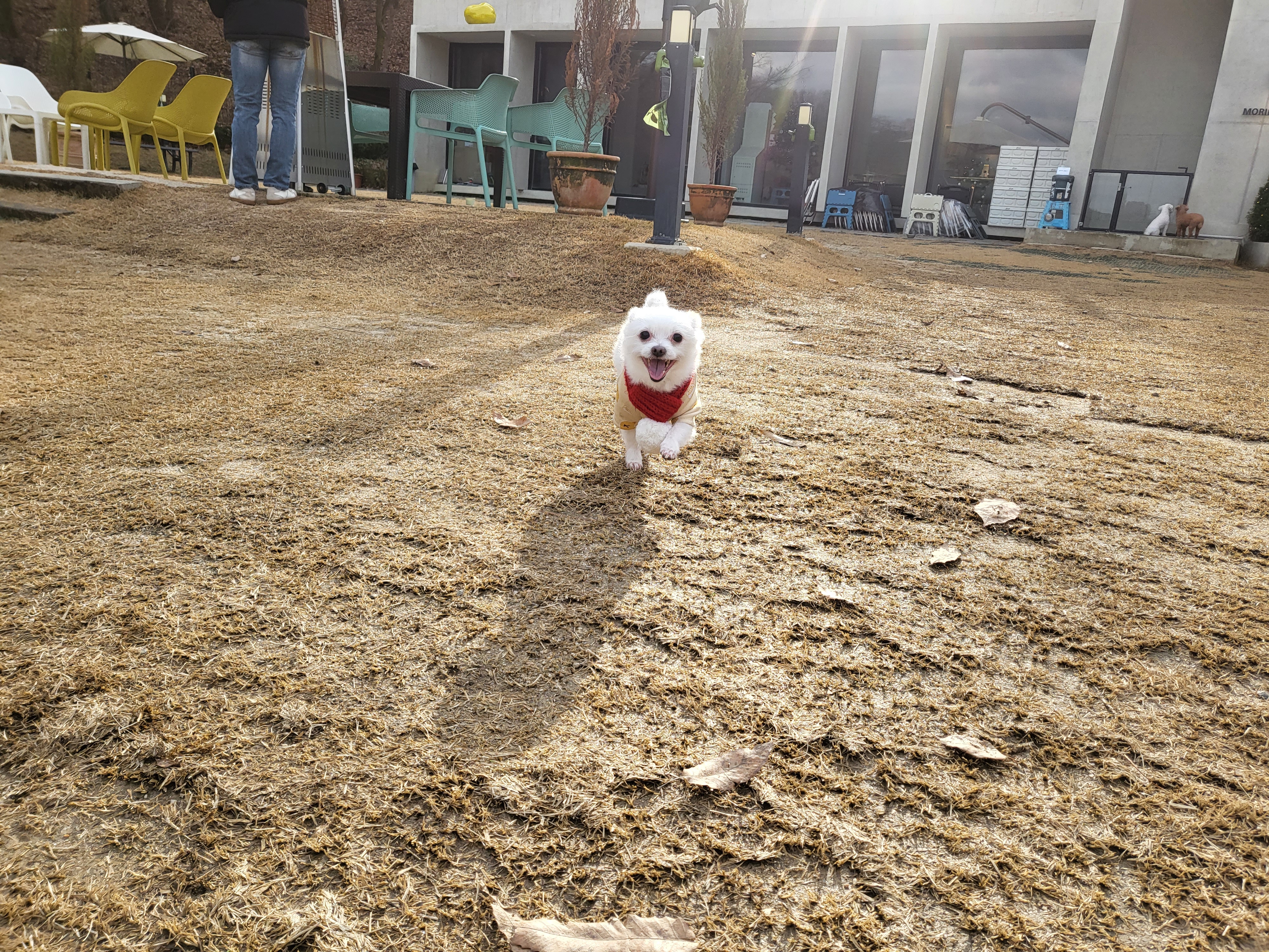 아산 오투(현 설희) 근황올려요^^