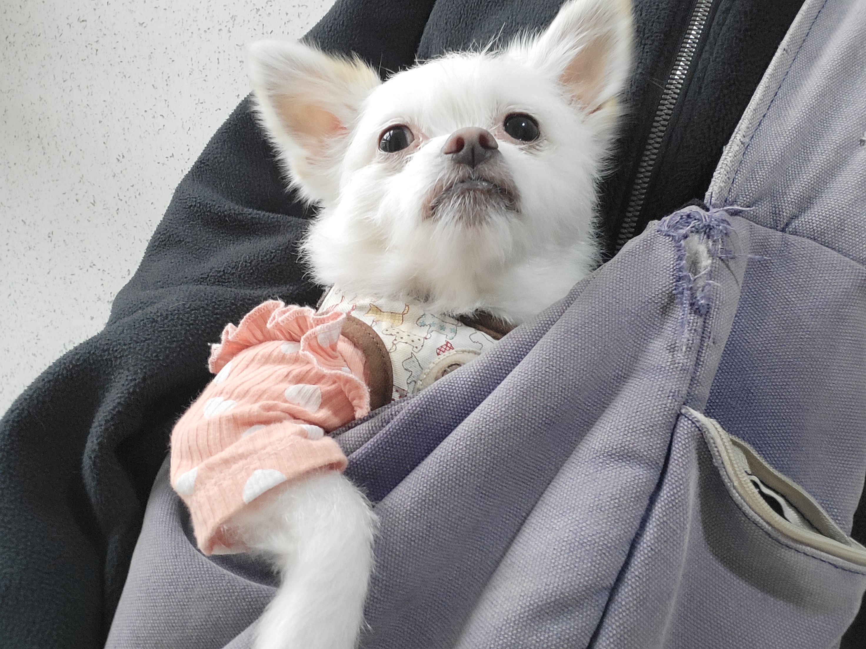 아산 오투(현 설희) 근황올려요^^