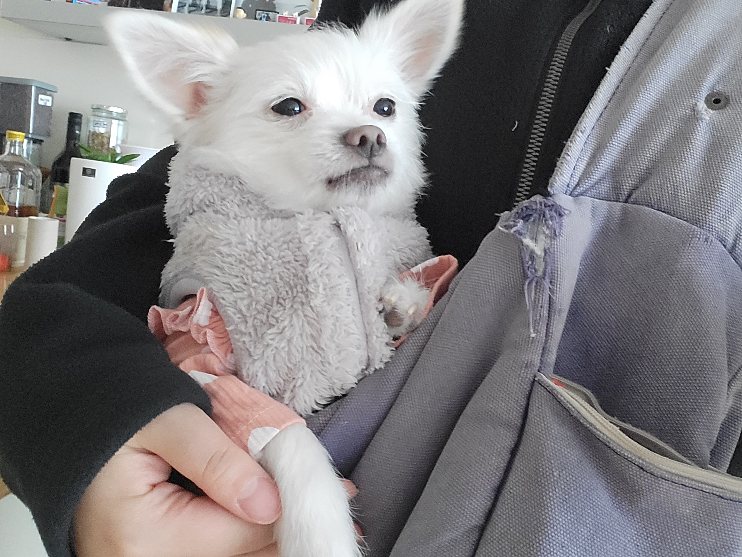 아산 오투(현 설희) 근황올려요^^