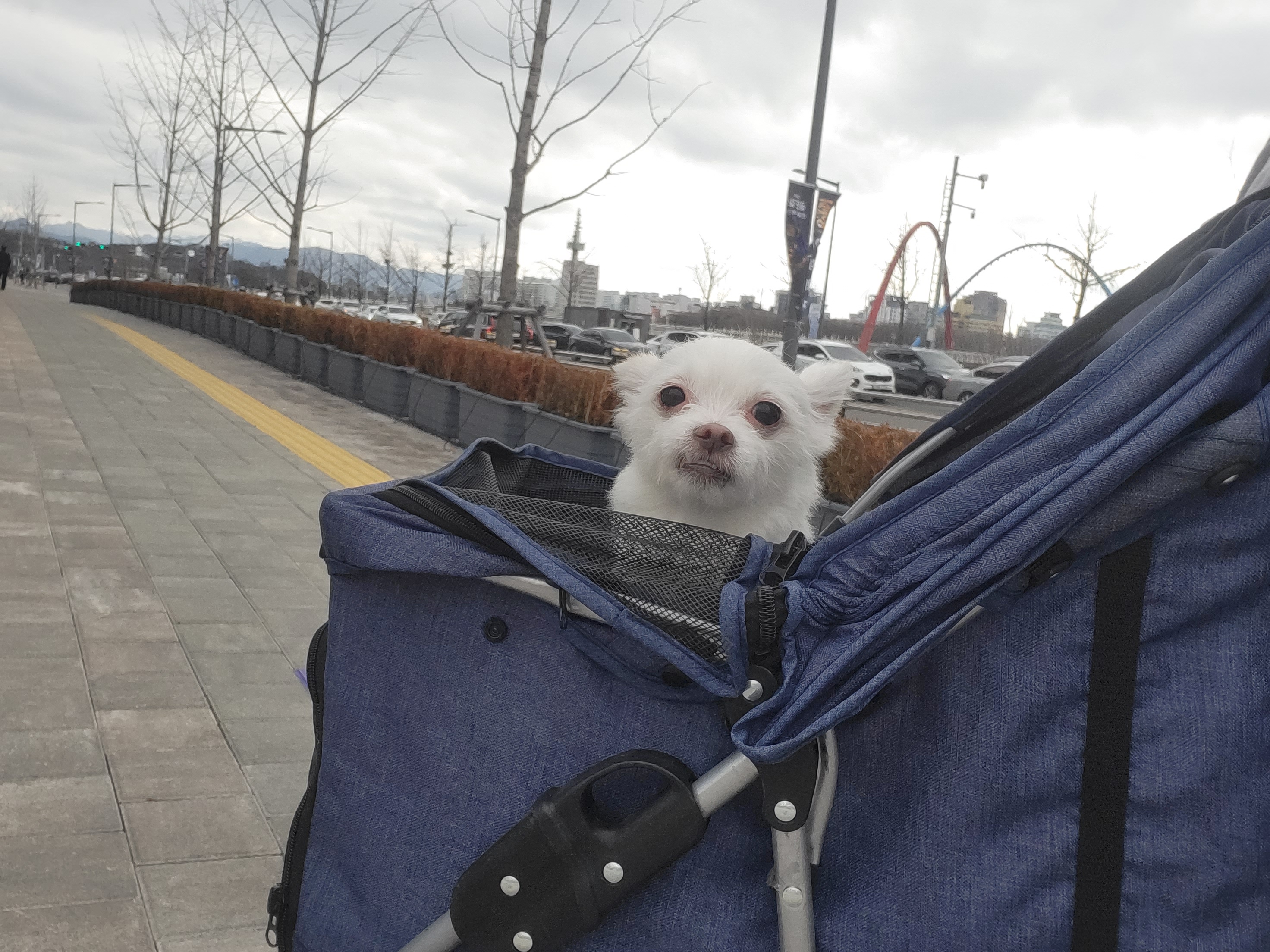 아산 오투(현 설희) 근황올려요^^