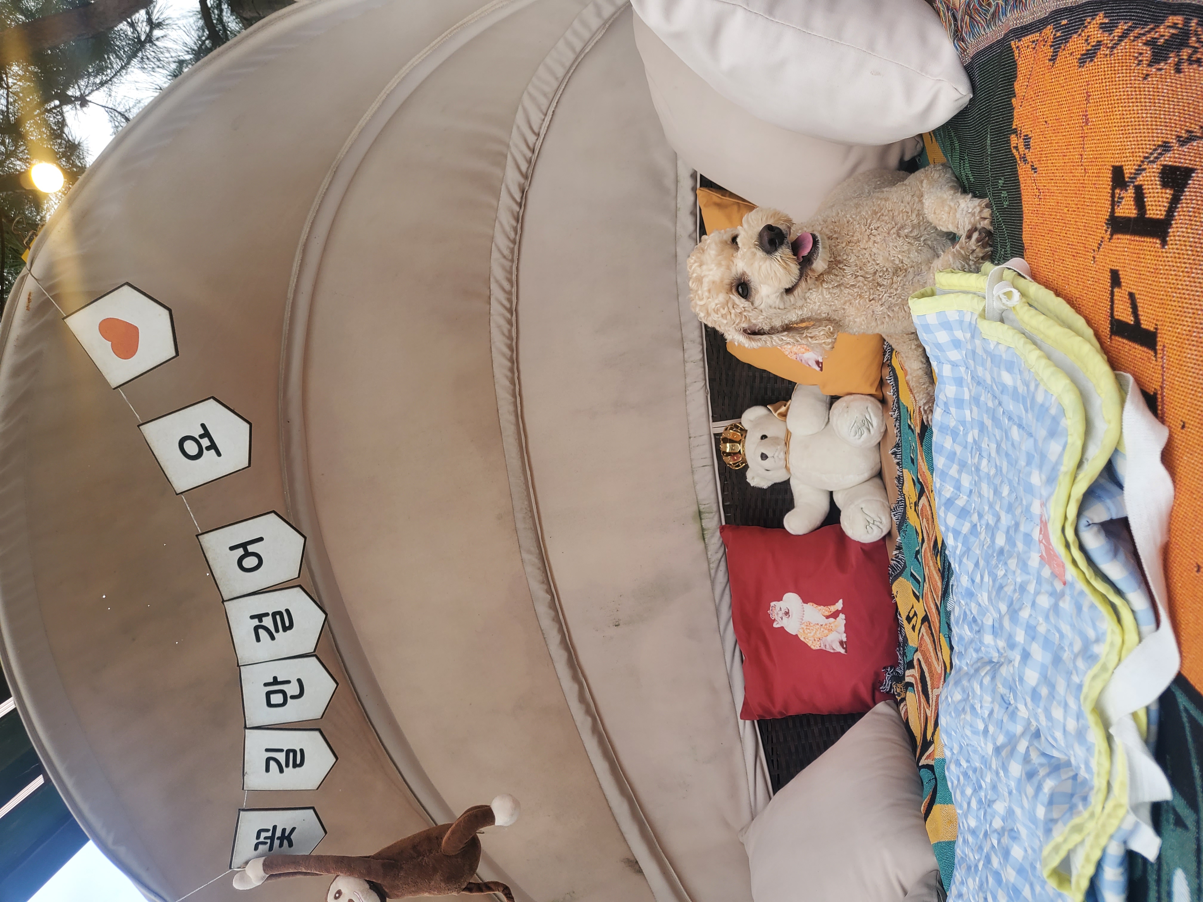 해피(푸이)