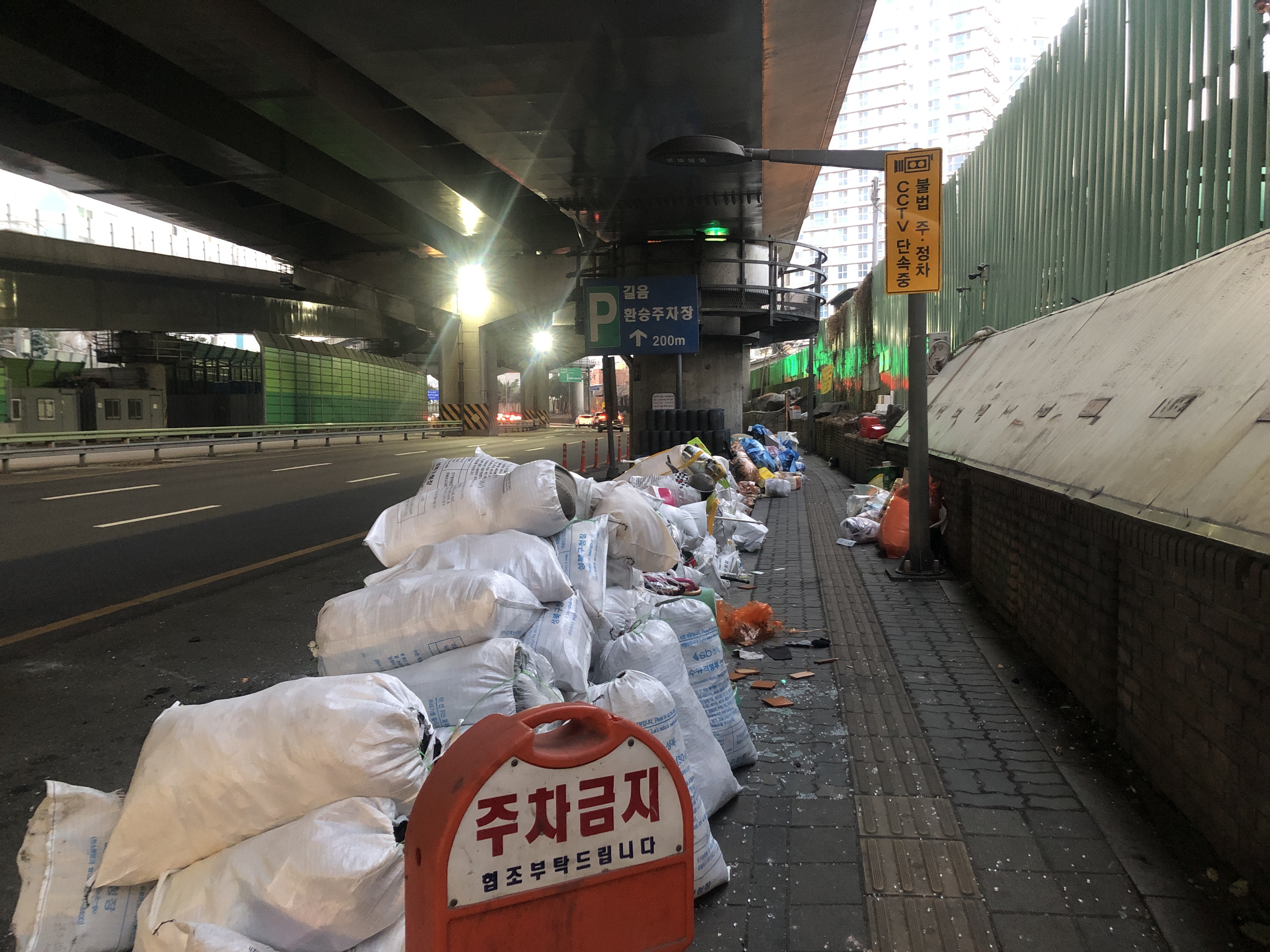 재개발 임박 지역의 고양이 보호 문제
