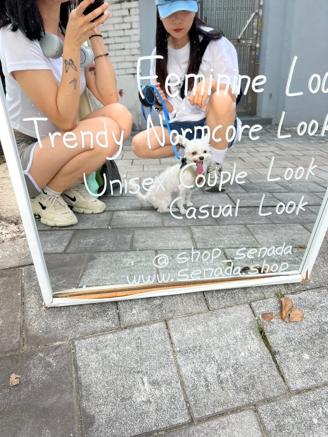 아산구조견 오슬이 입양(현 밥풀이) 함께한 558일