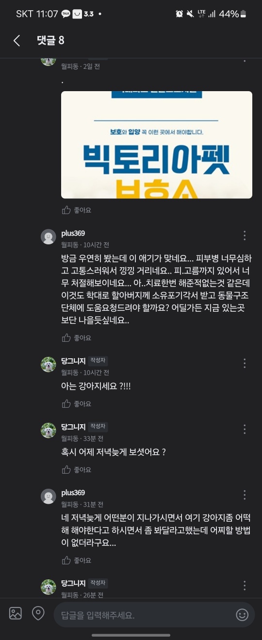 치료도 제때 못받고 학대당하는 강아지를 구해주세요