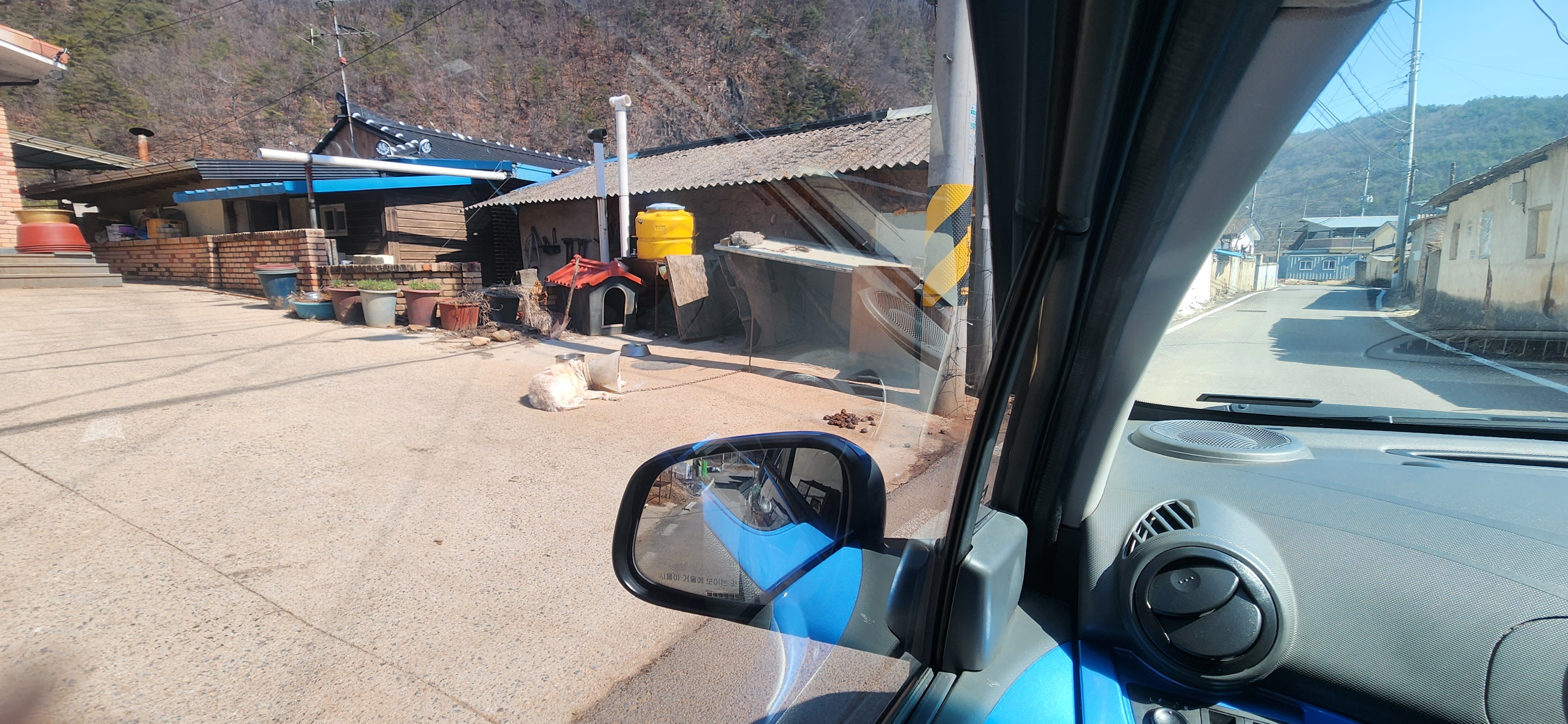 3주 넘게 누더기 상태와 열악한 사육환경