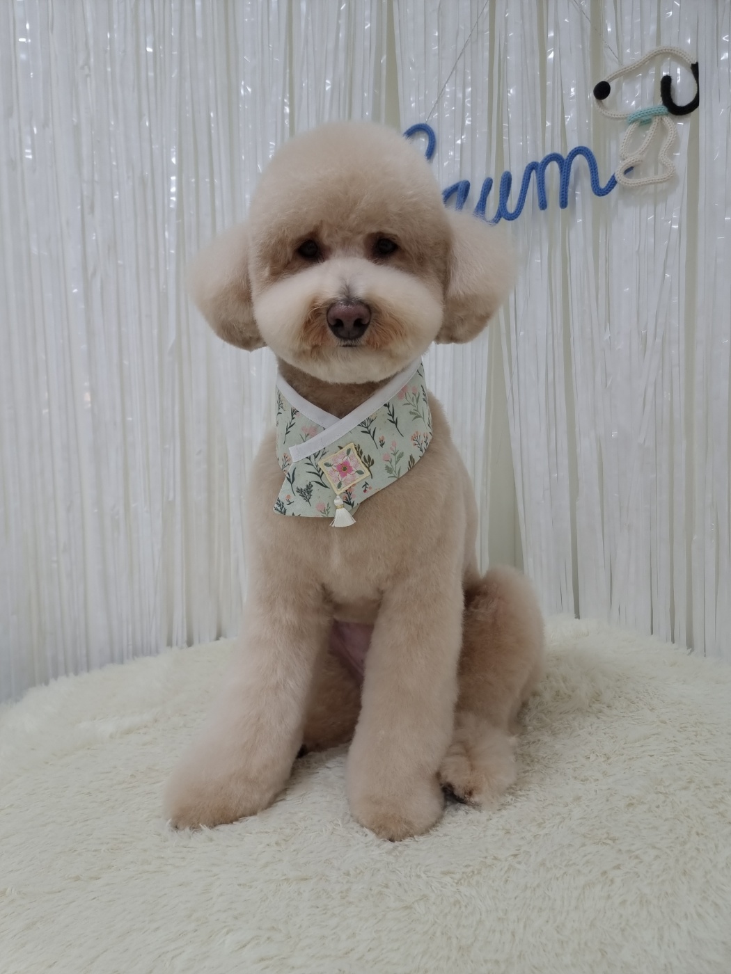 도담이(푸삼) 3년차 이야기
