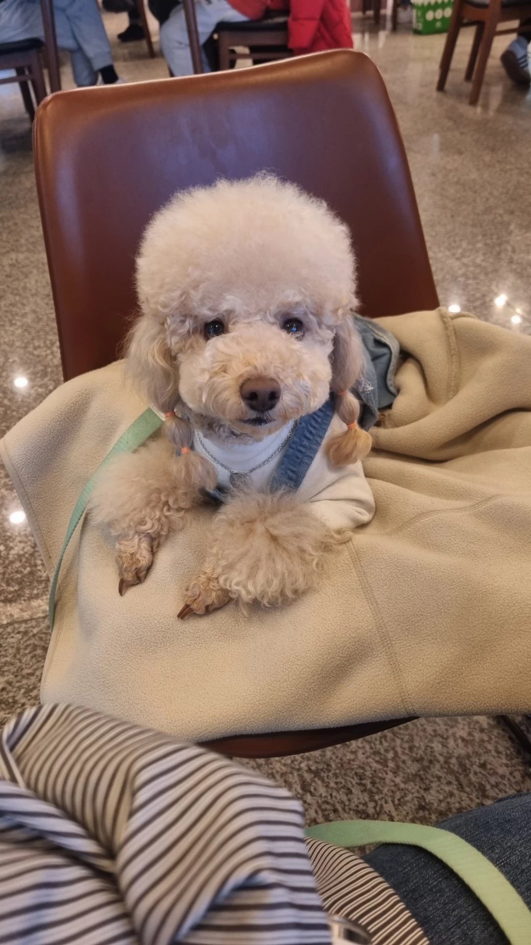 초이(곤지암-해삼)3년의 기록!!