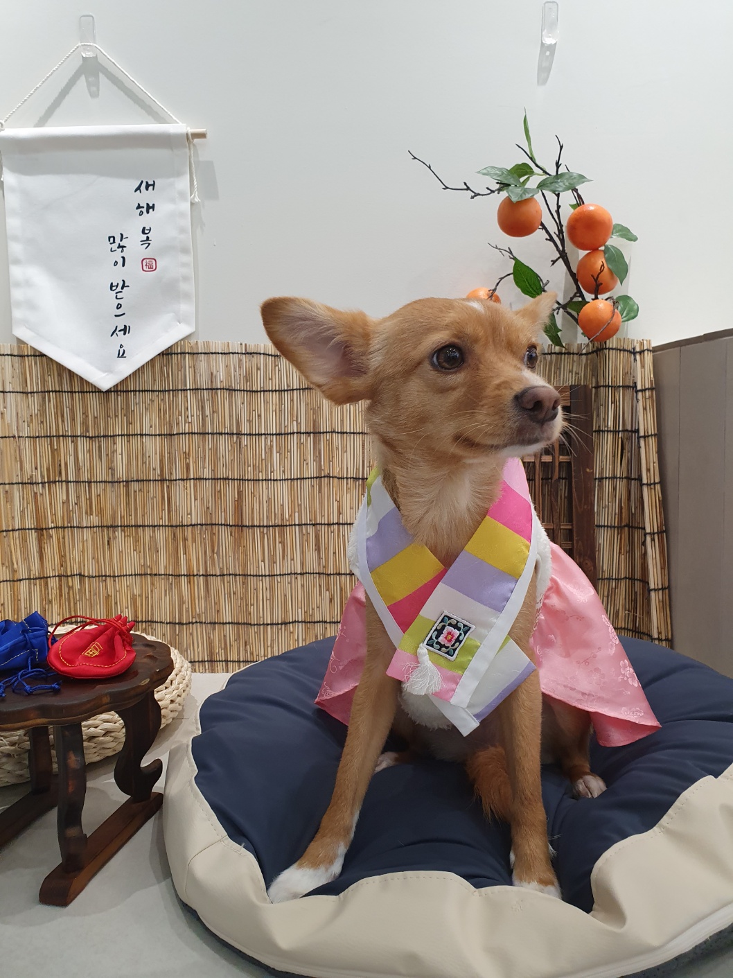 뽀또(이포)의 행복한 막내일기 <4>