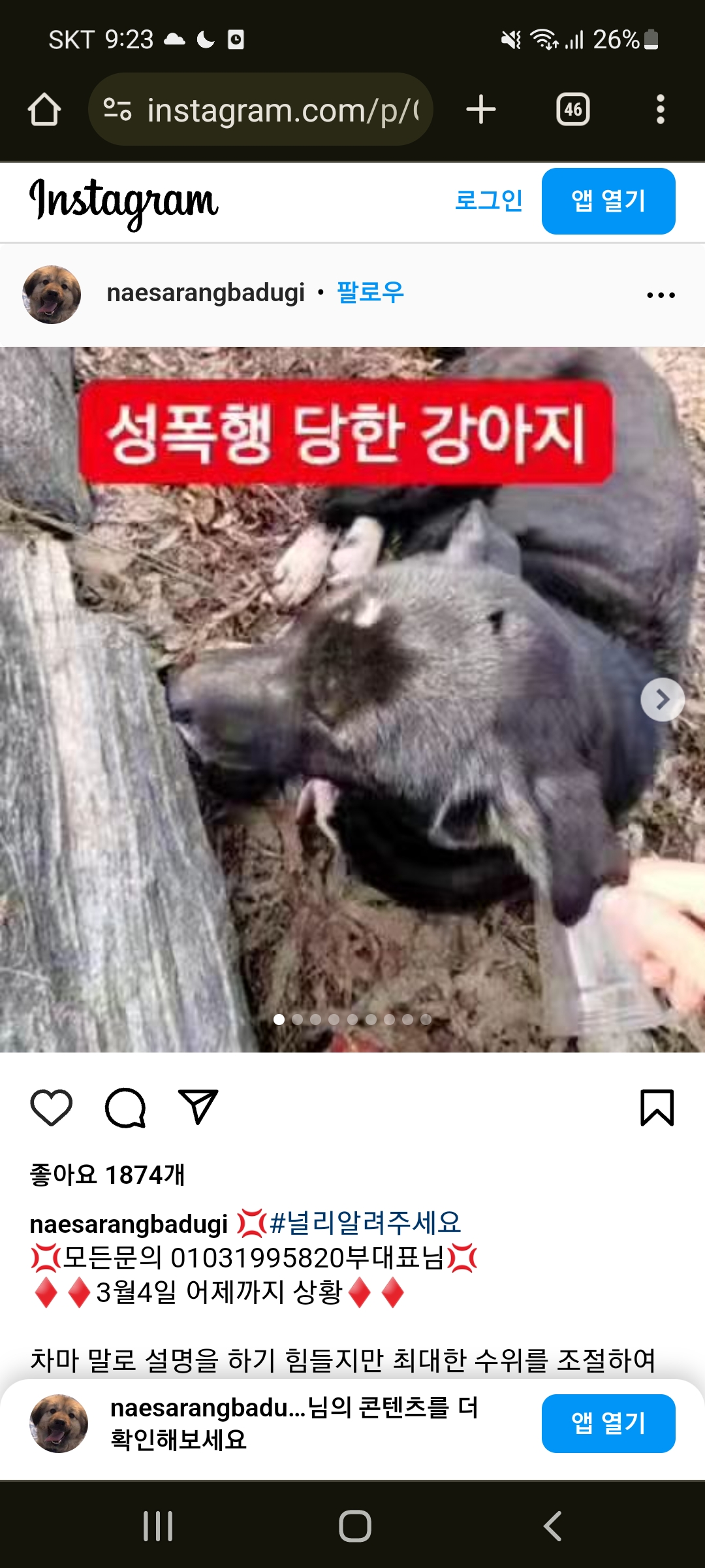 김포 고양이와 강아지 성폭행 한 새끼를 고발합니다. 제발 도와주세요