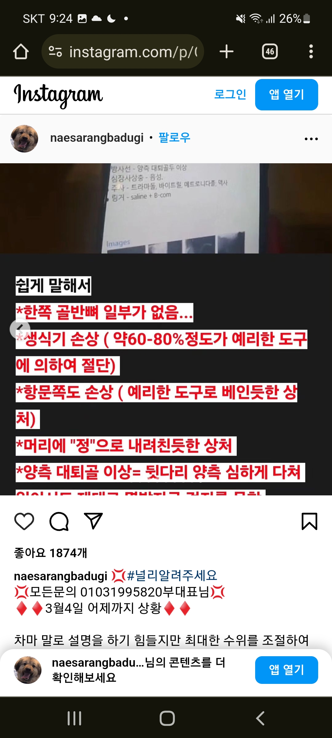 김포 고양이와 강아지 성폭행 한 새끼를 고발합니다. 제발 도와주세요