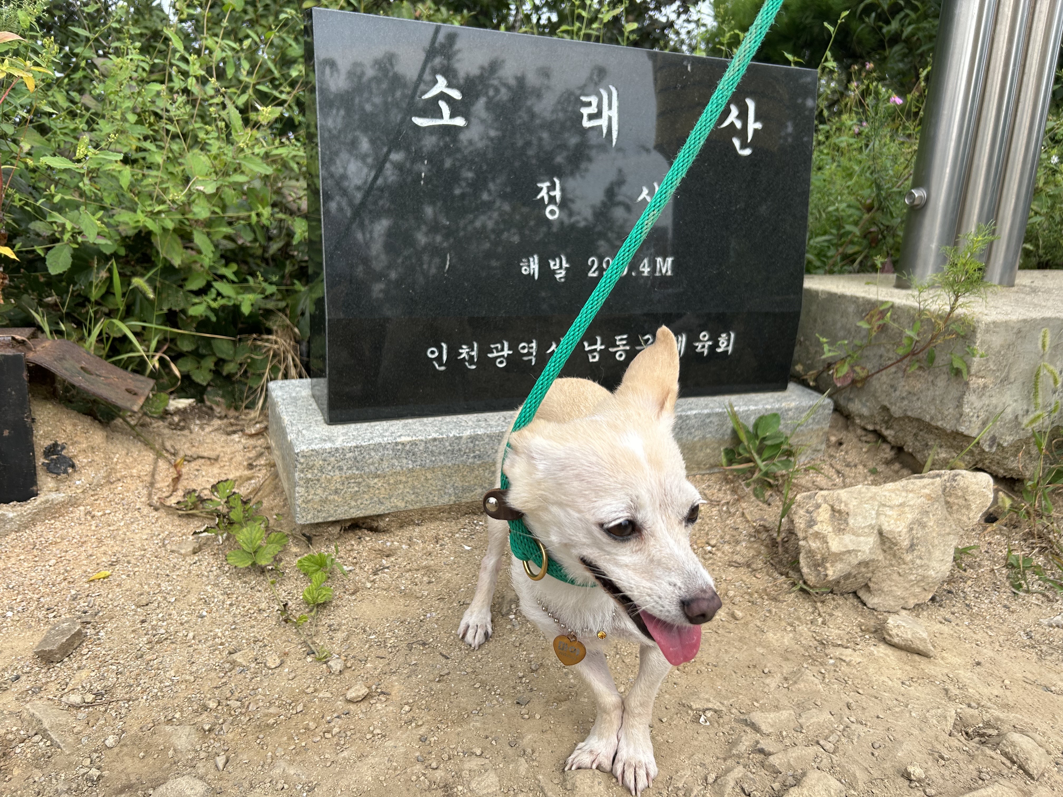 마야랑 보낸 2023