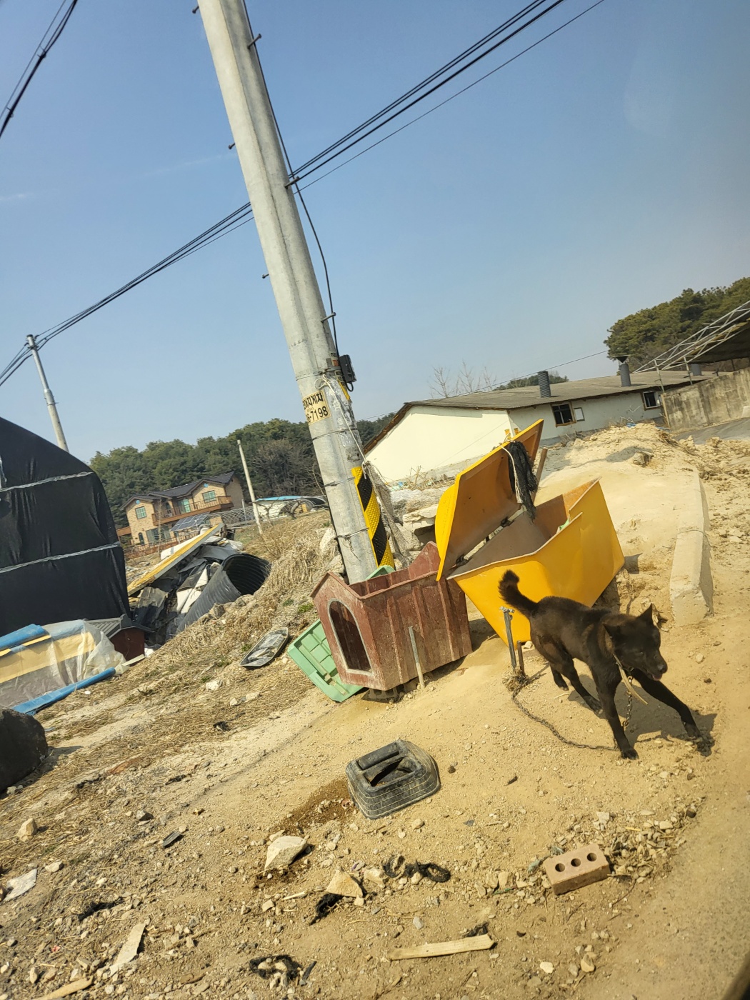 여주 개농장 두곳 제보합니다 분명 잔인한 학대가 이루어지고 있을겁니