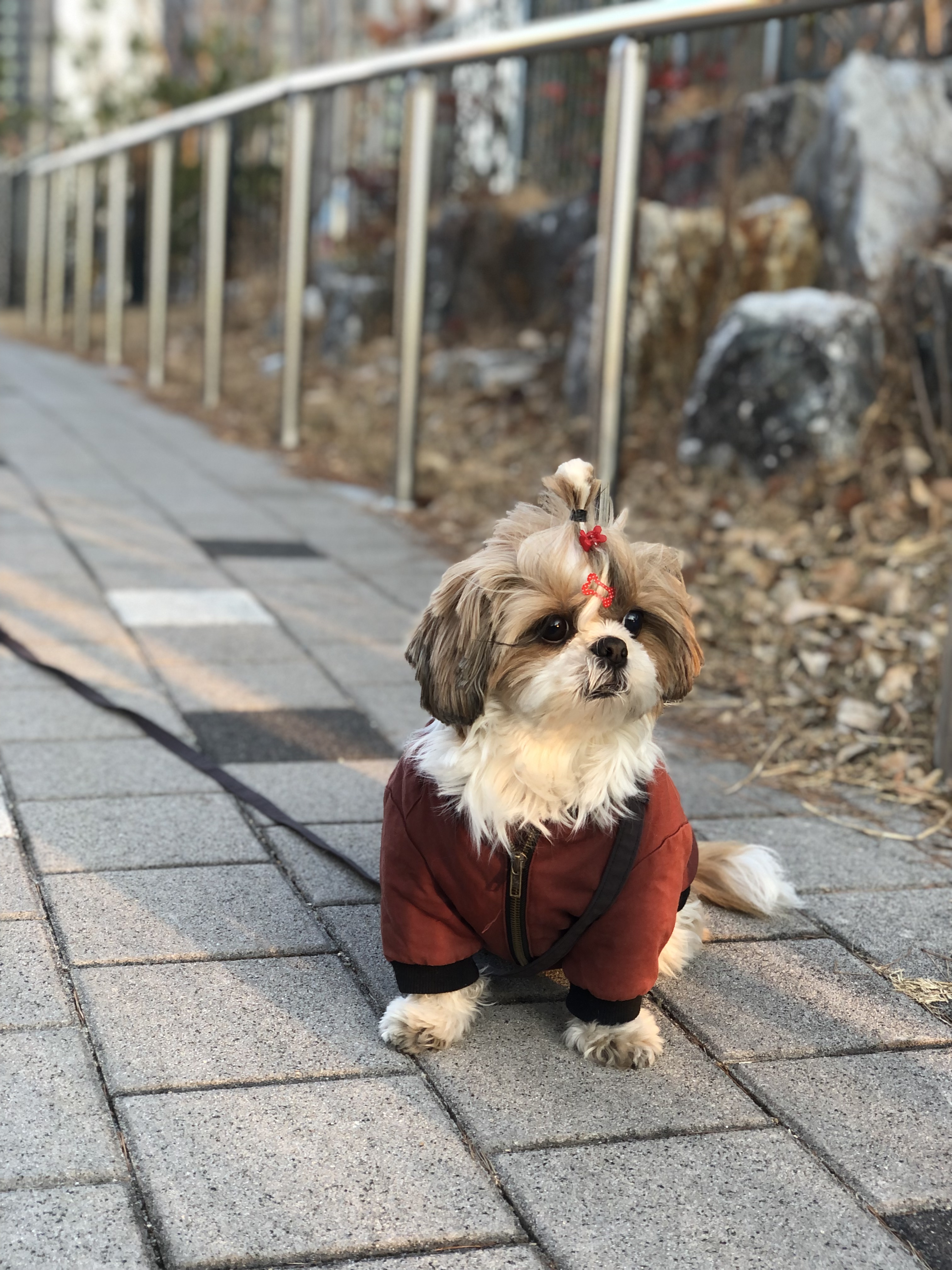 천진이와 2년^^