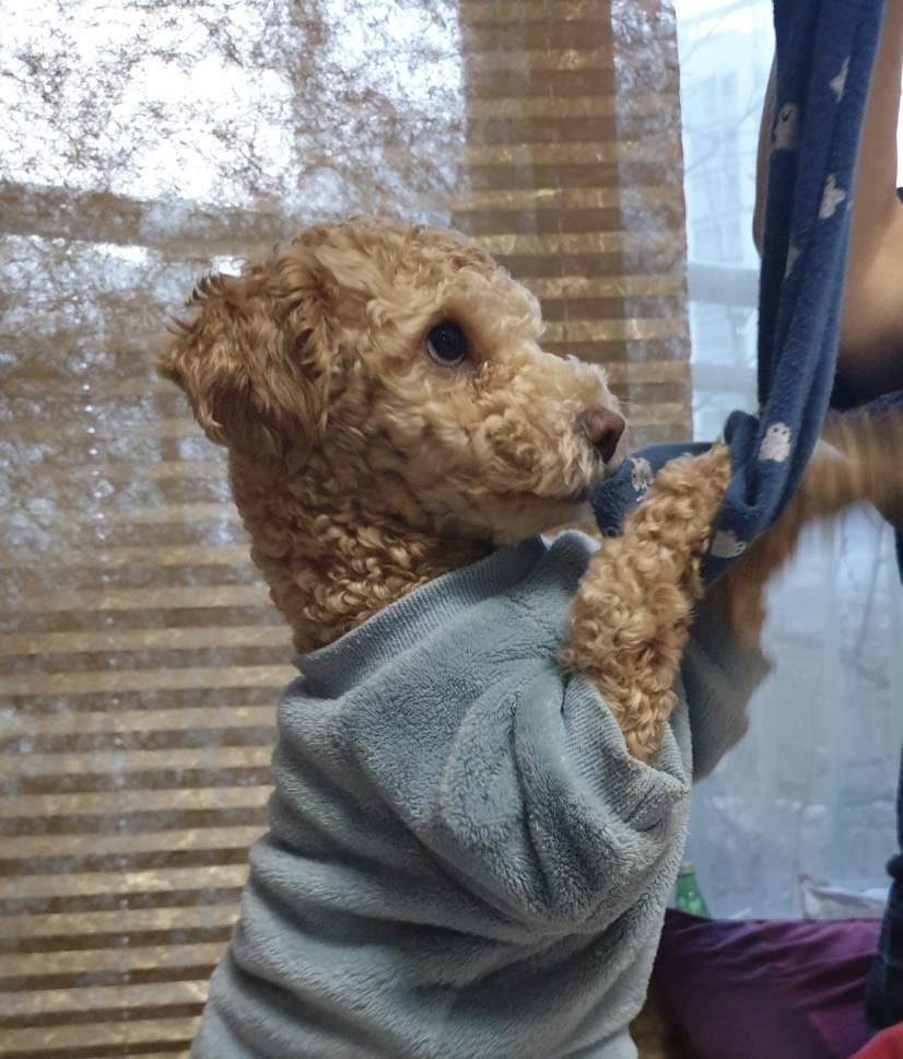 랑이(곤지암 해사) 3년 되었어요!