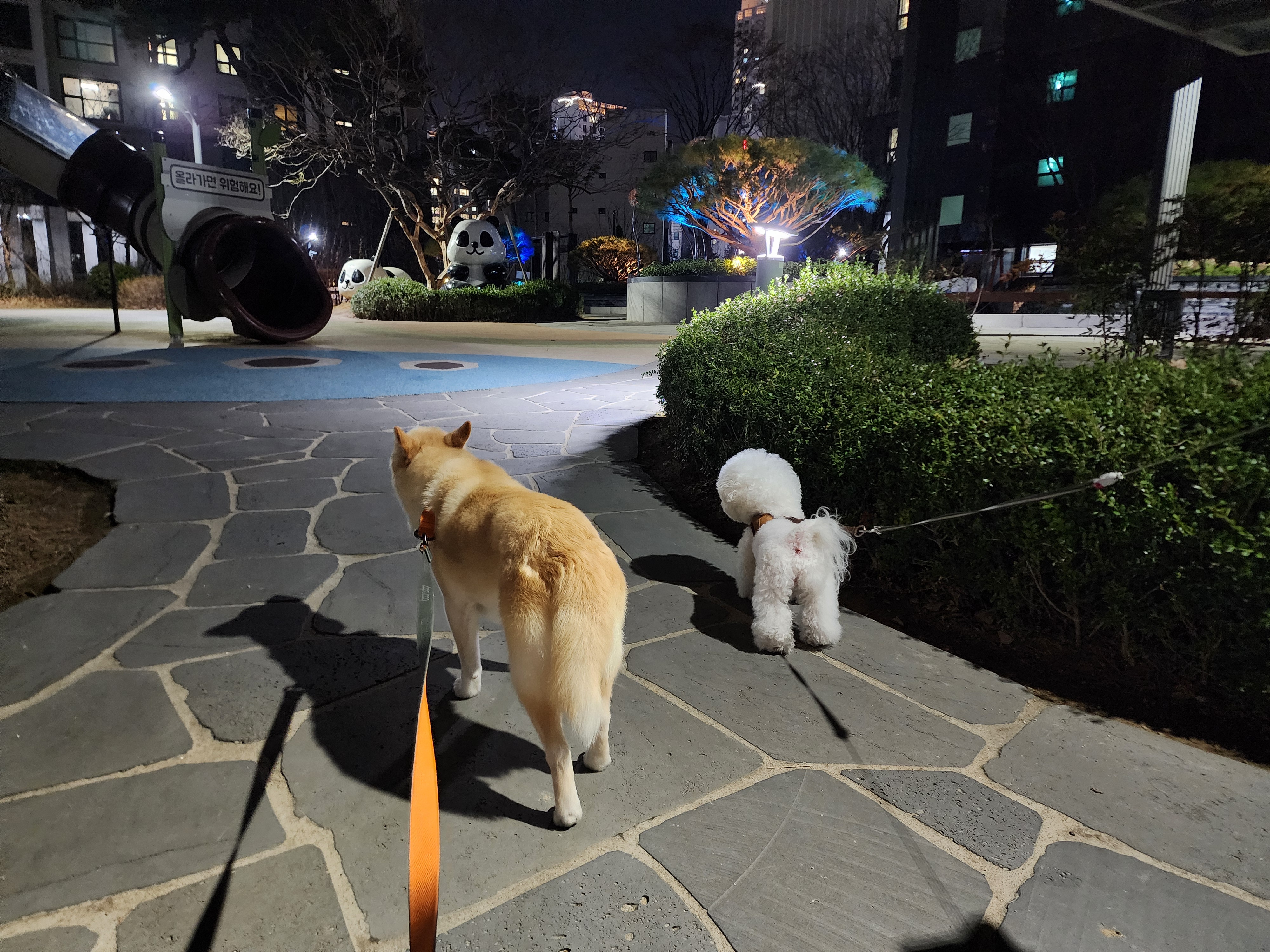 레이의 한달:) 