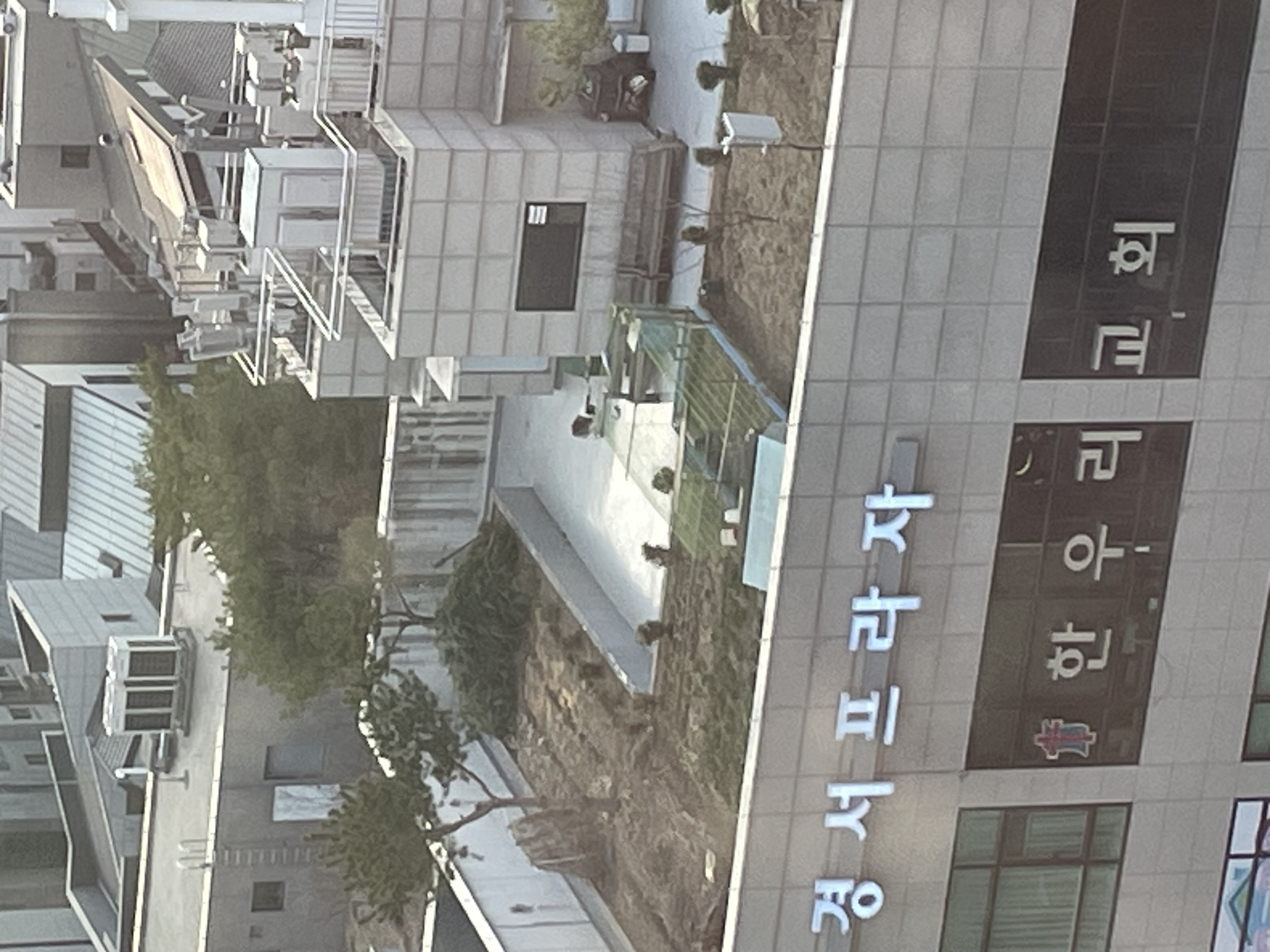 옥상에서 키우는 강아지