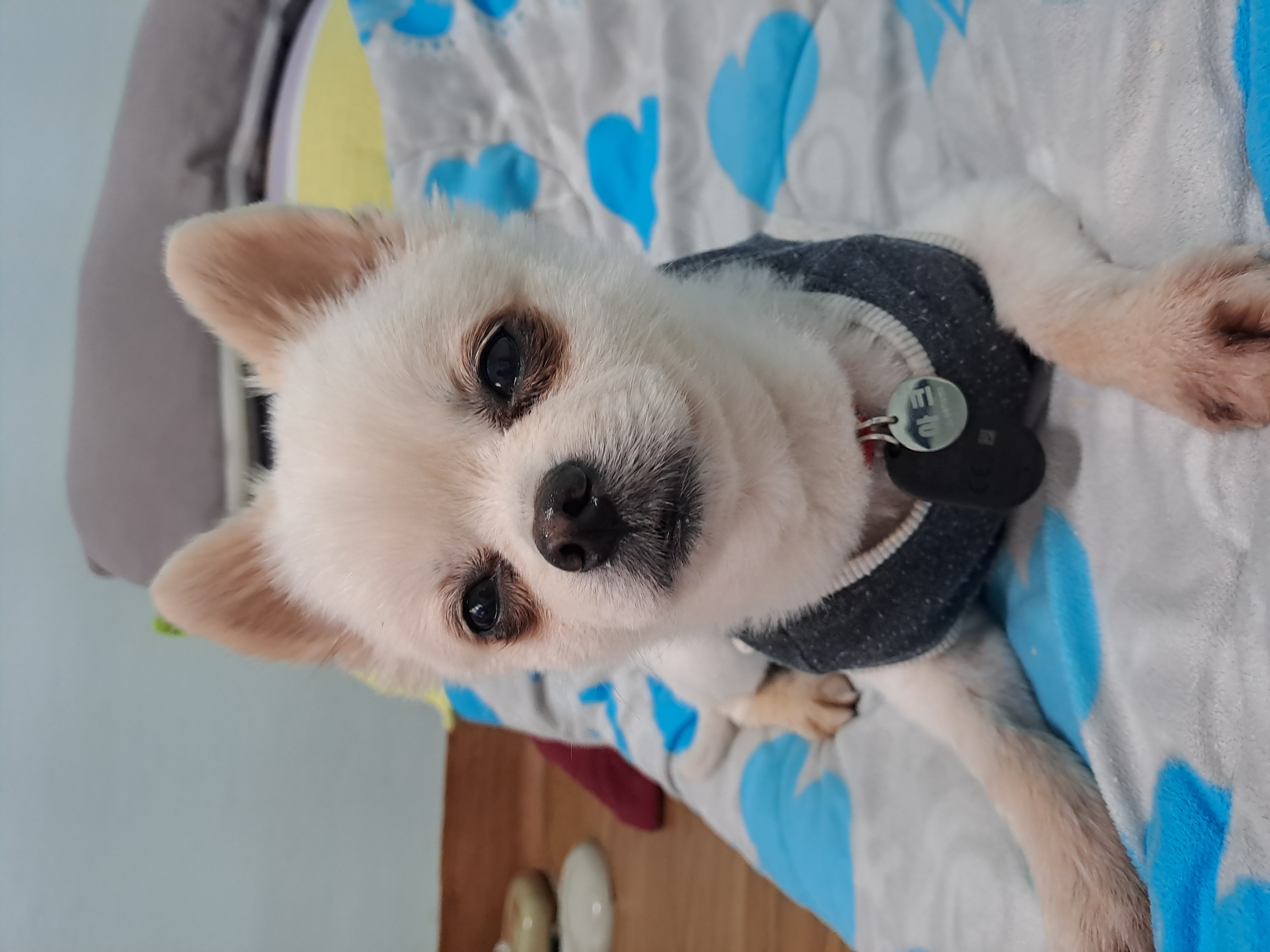 아크