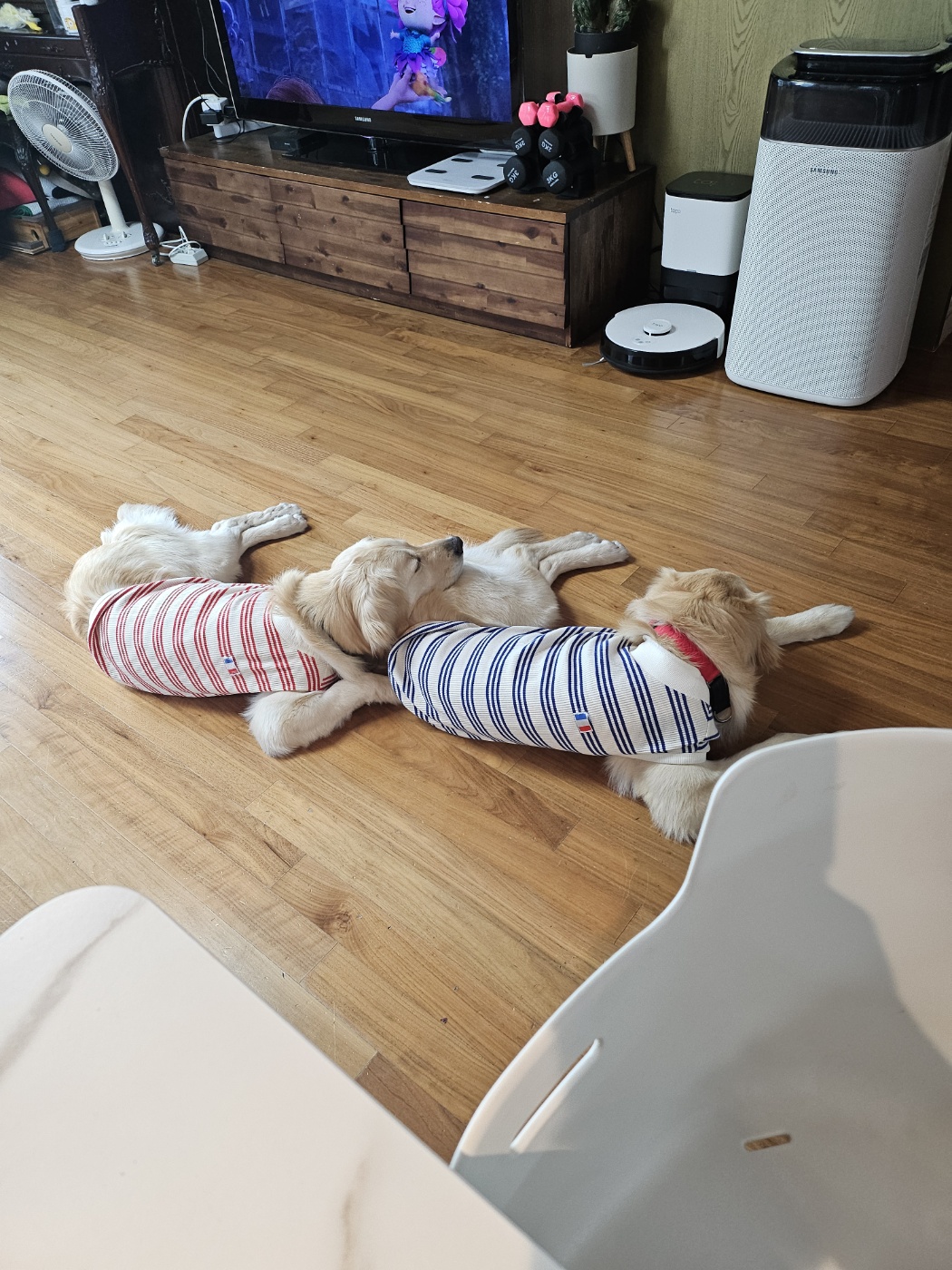 하늘이랑 구름이랑 한달 후 이야기(구)찰리&마일로