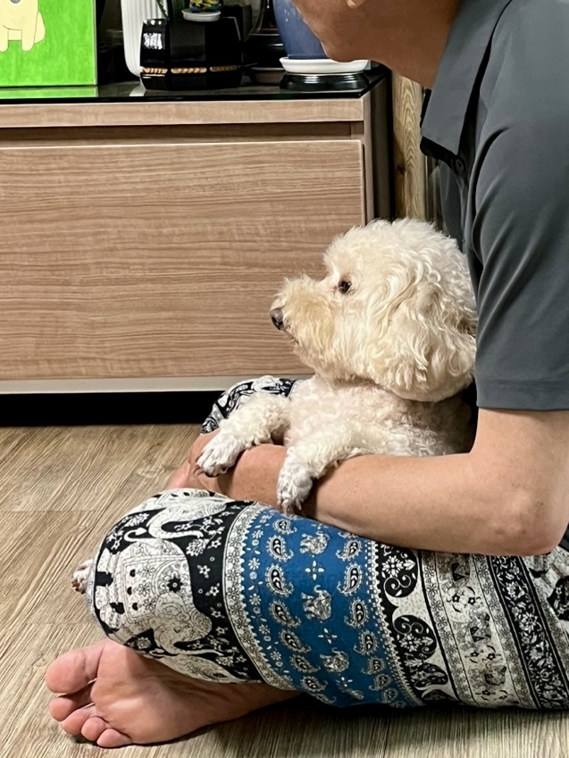 쿠크(곤지암-47) 3년 됐어요~