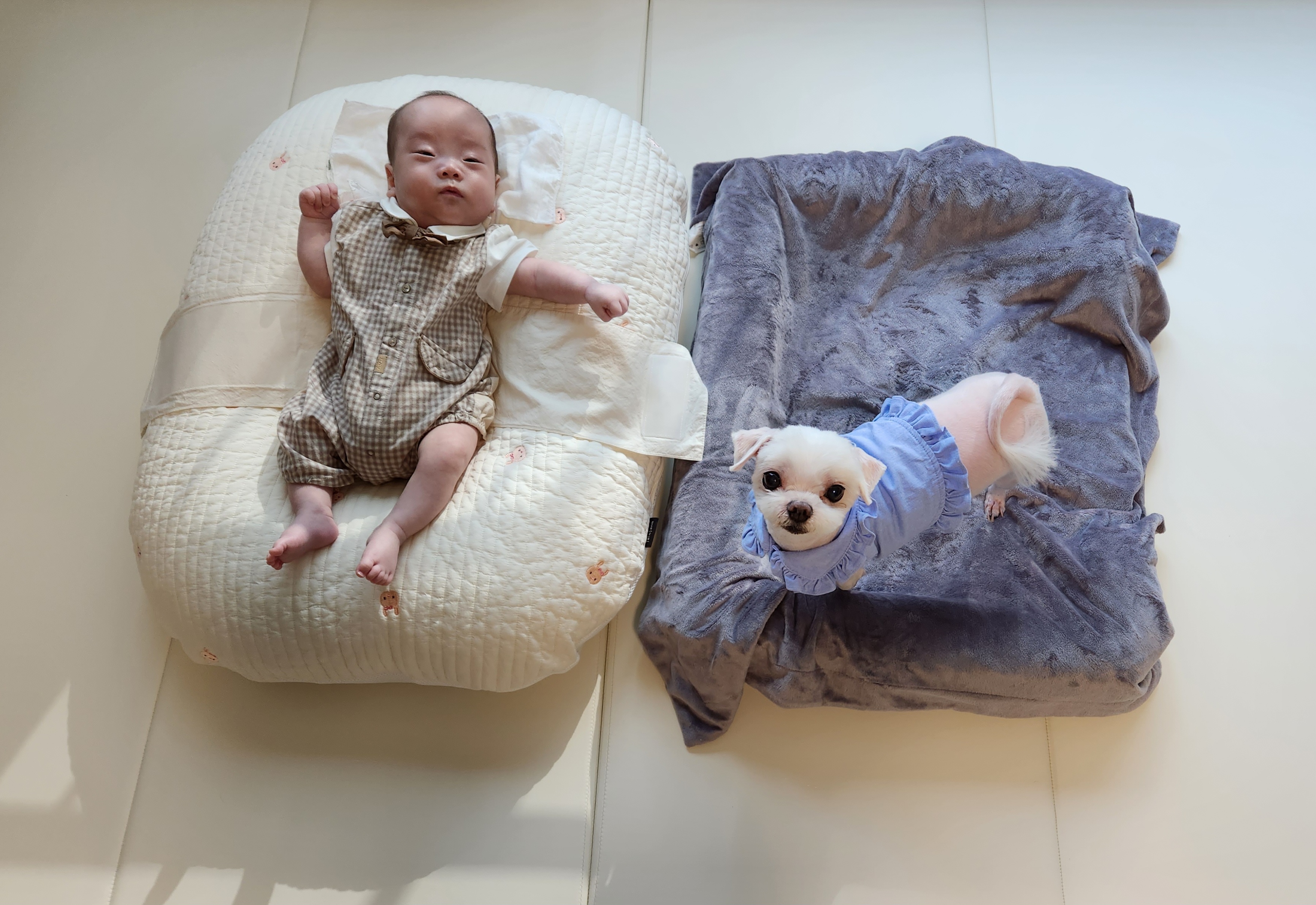 초롱이(치멍25)와 6년차, 이제 동생과 함께예요!