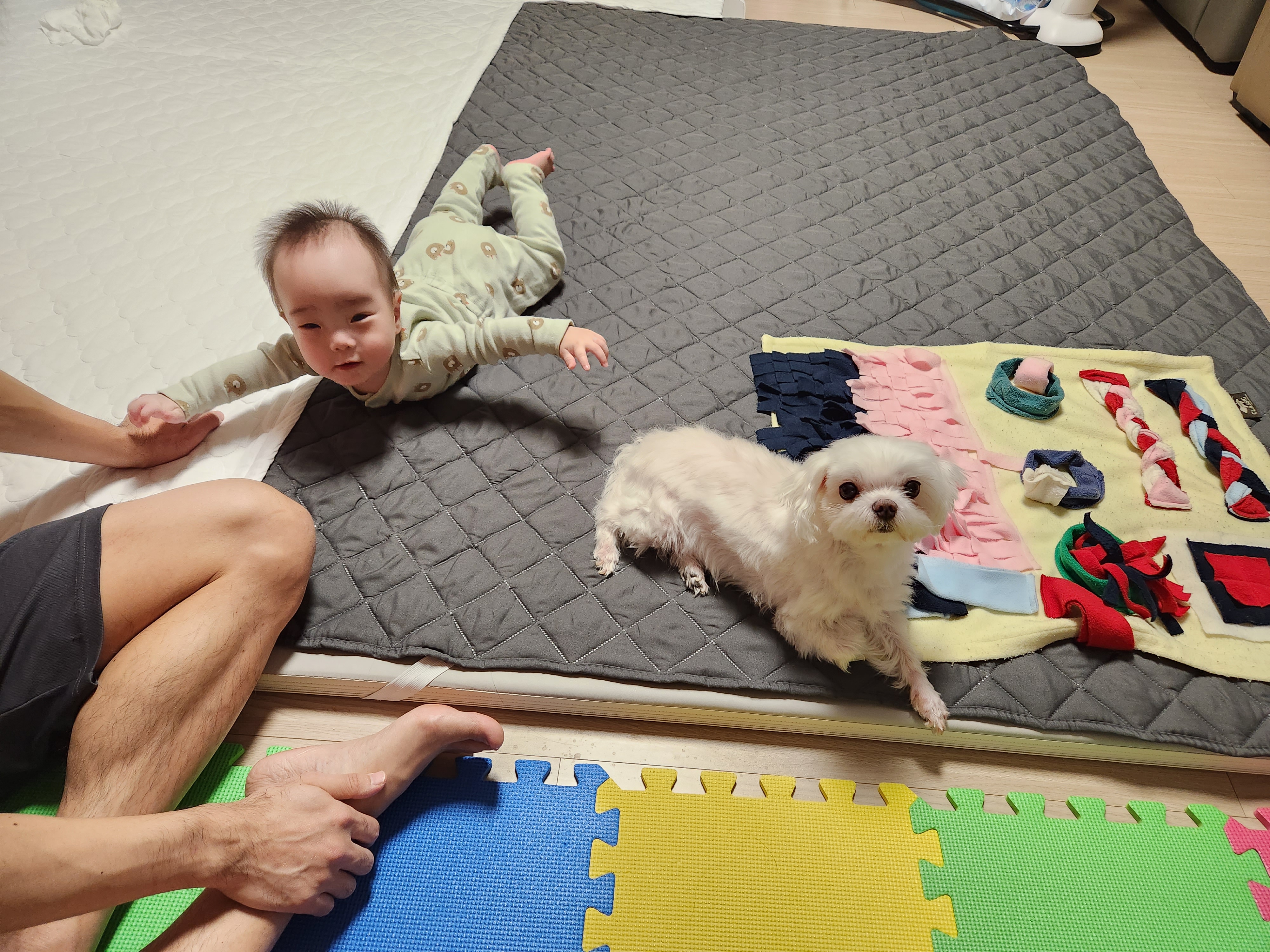 초롱이(치멍25)와 6년차, 이제 동생과 함께예요!
