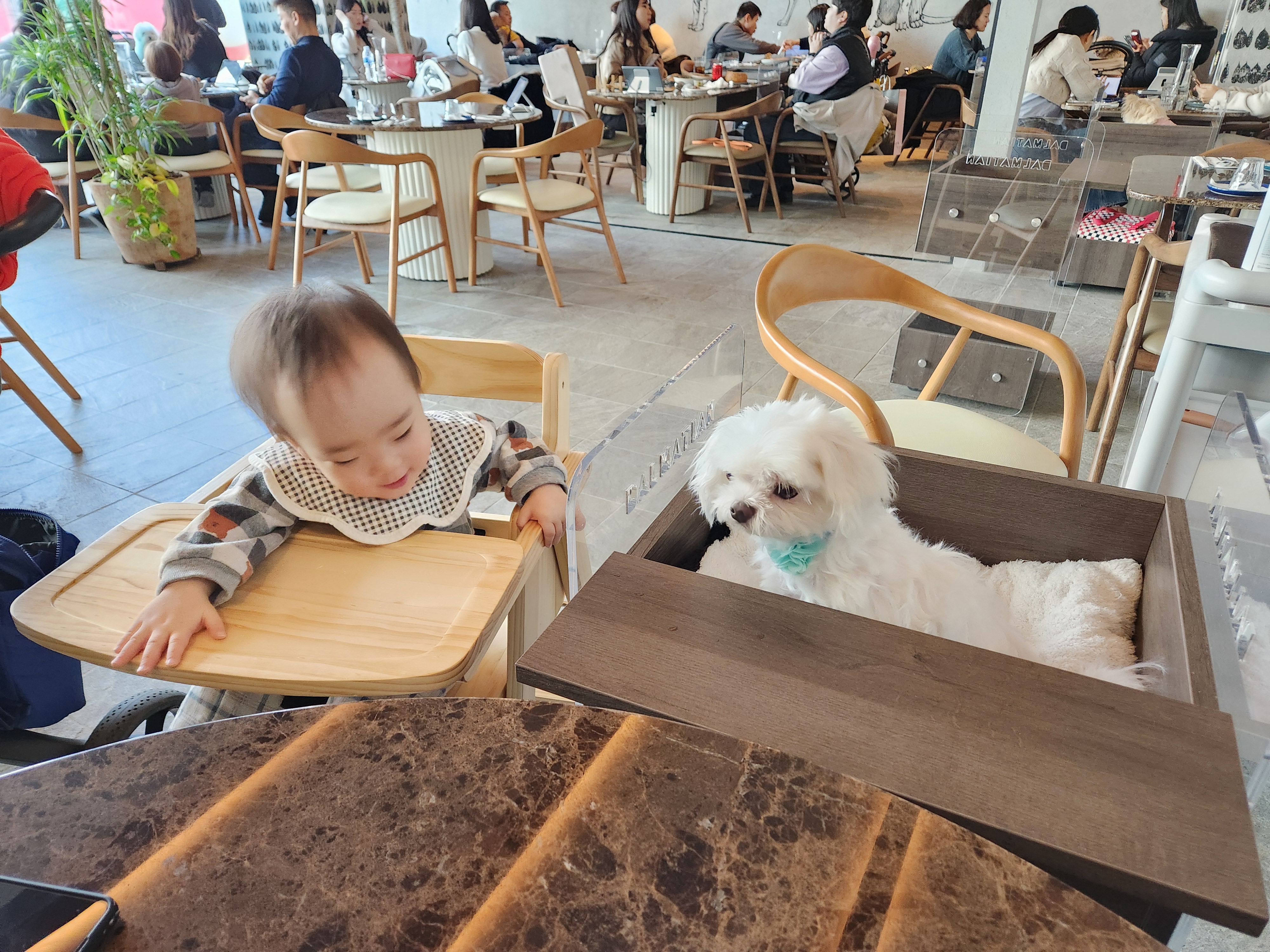 초롱이(치멍25)와 6년차, 이제 동생과 함께예요!