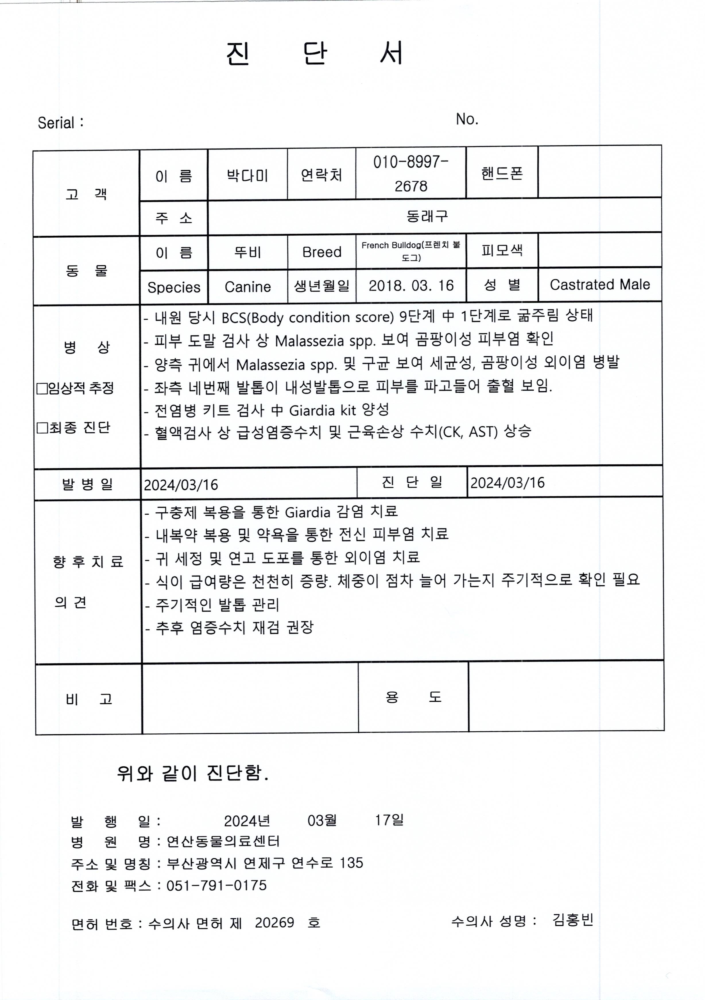 4년전 입양보낸아이가 유기되어 아파서 돌아왔습니다.