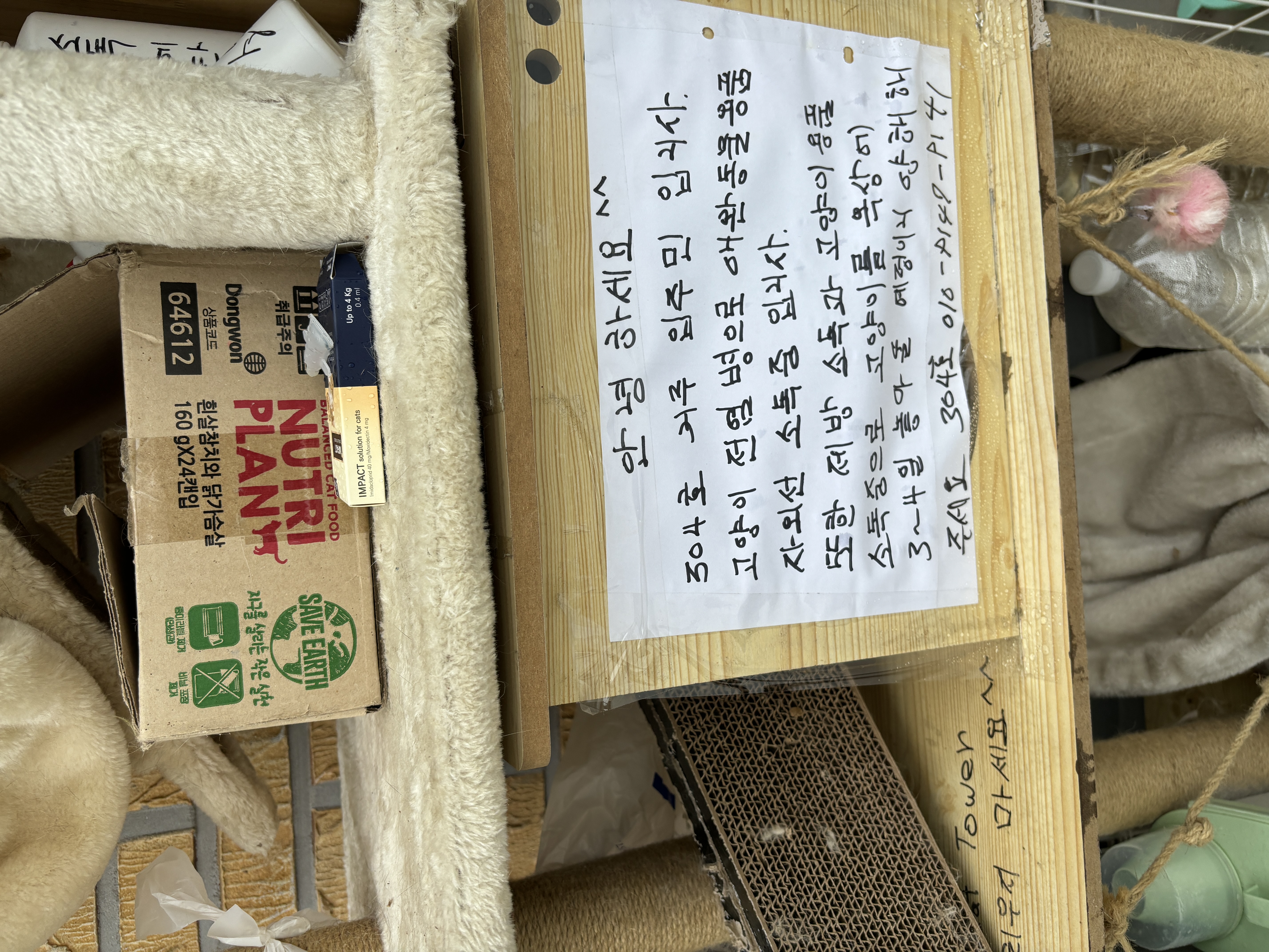 동물이 방치되어있습니다