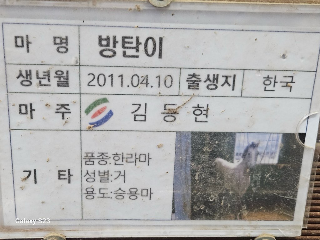 영천시 운주산 승마장 4년째 방임학대되는 말 방탄이를 구해주세요 