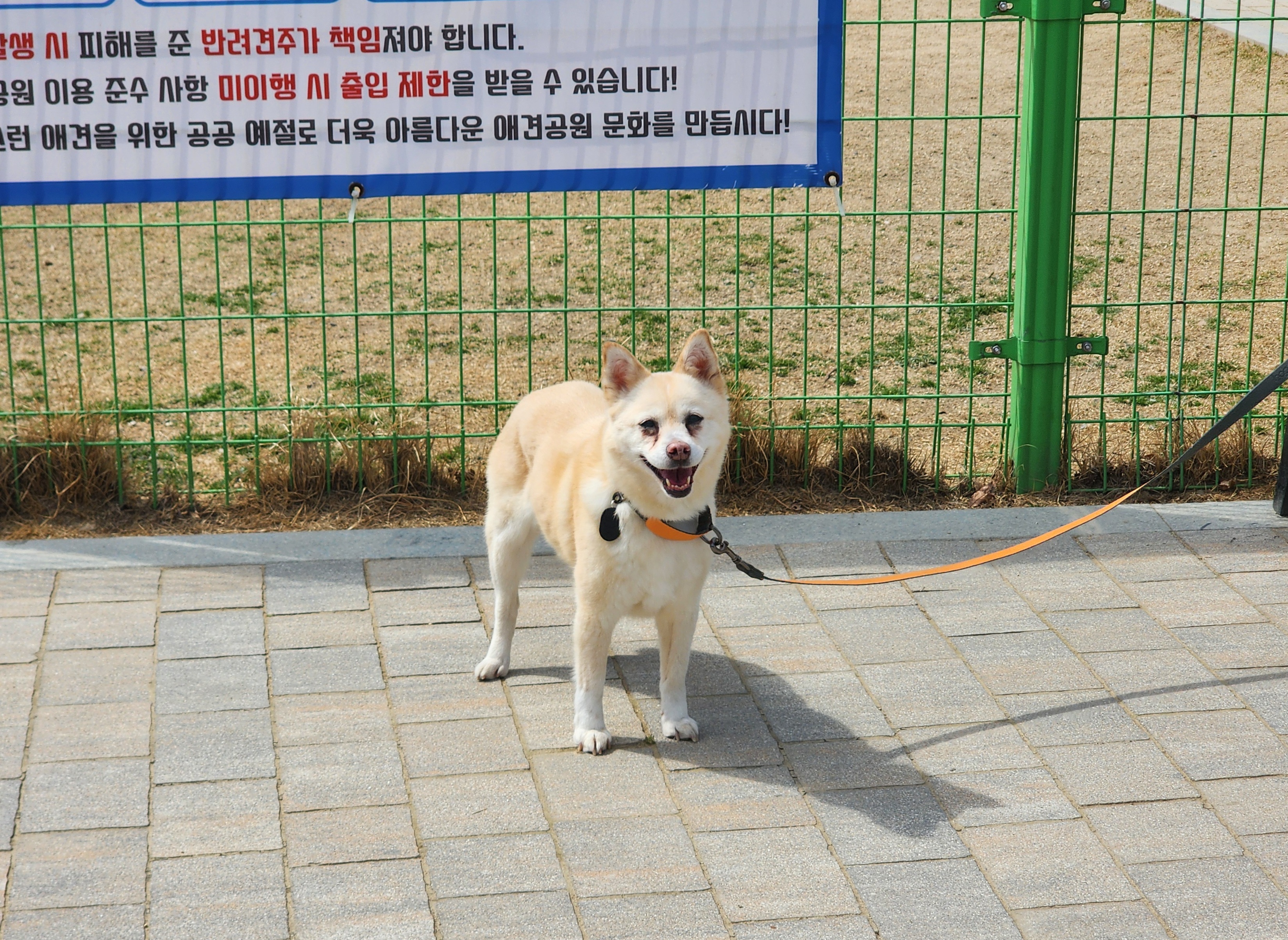 레이가 이제 활짝 웃어요:) 