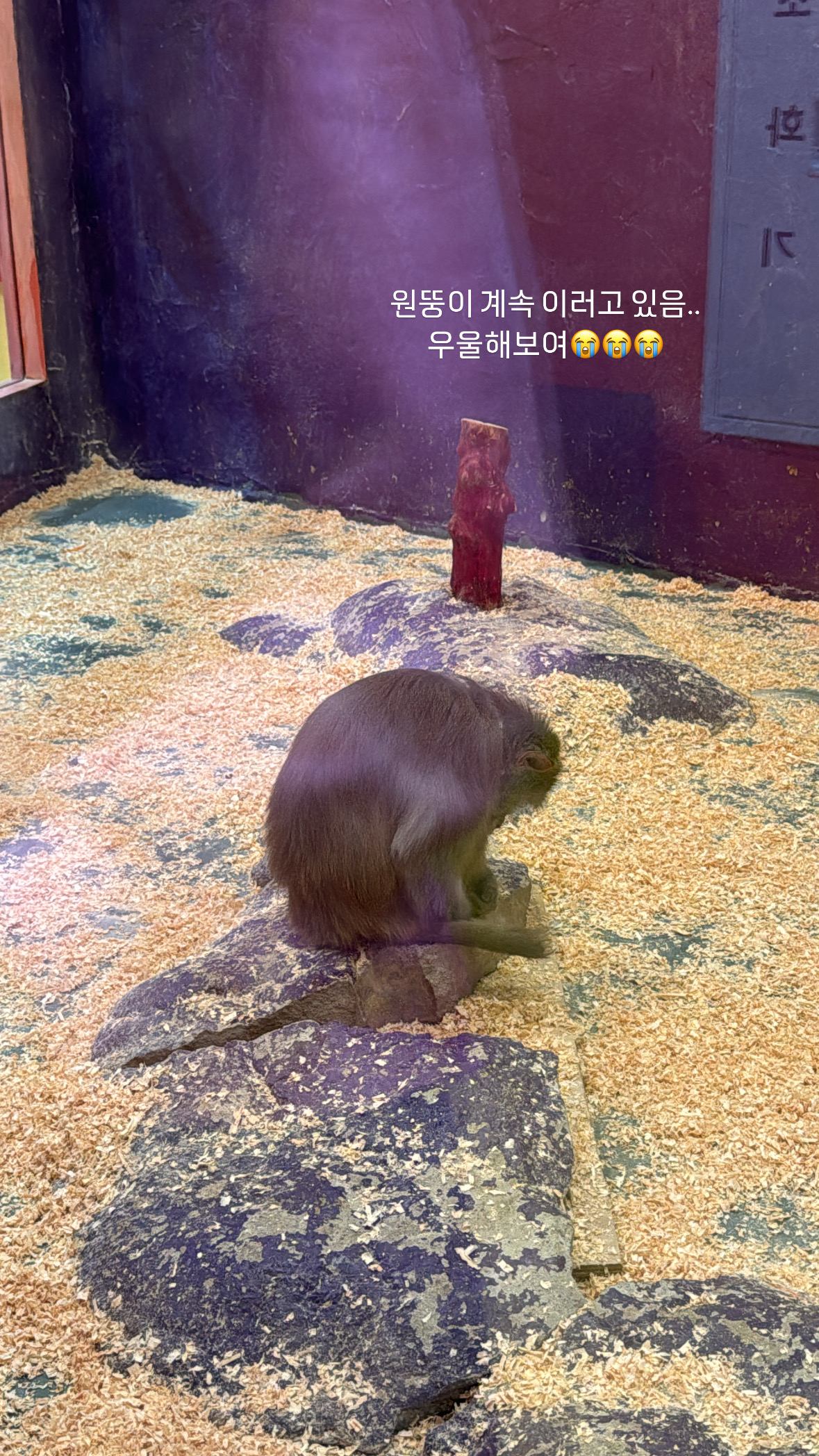 기흥에 위치한 실내 동물원을 고발합니다