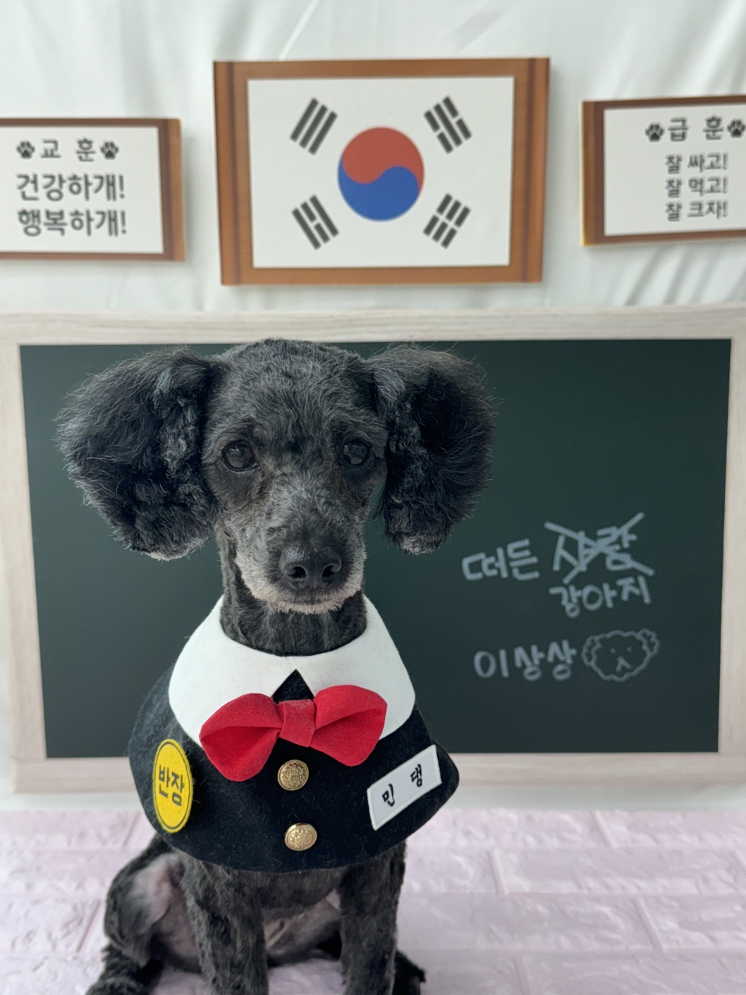 여들이의 첫 후기 (깜비) 사진있습니다.