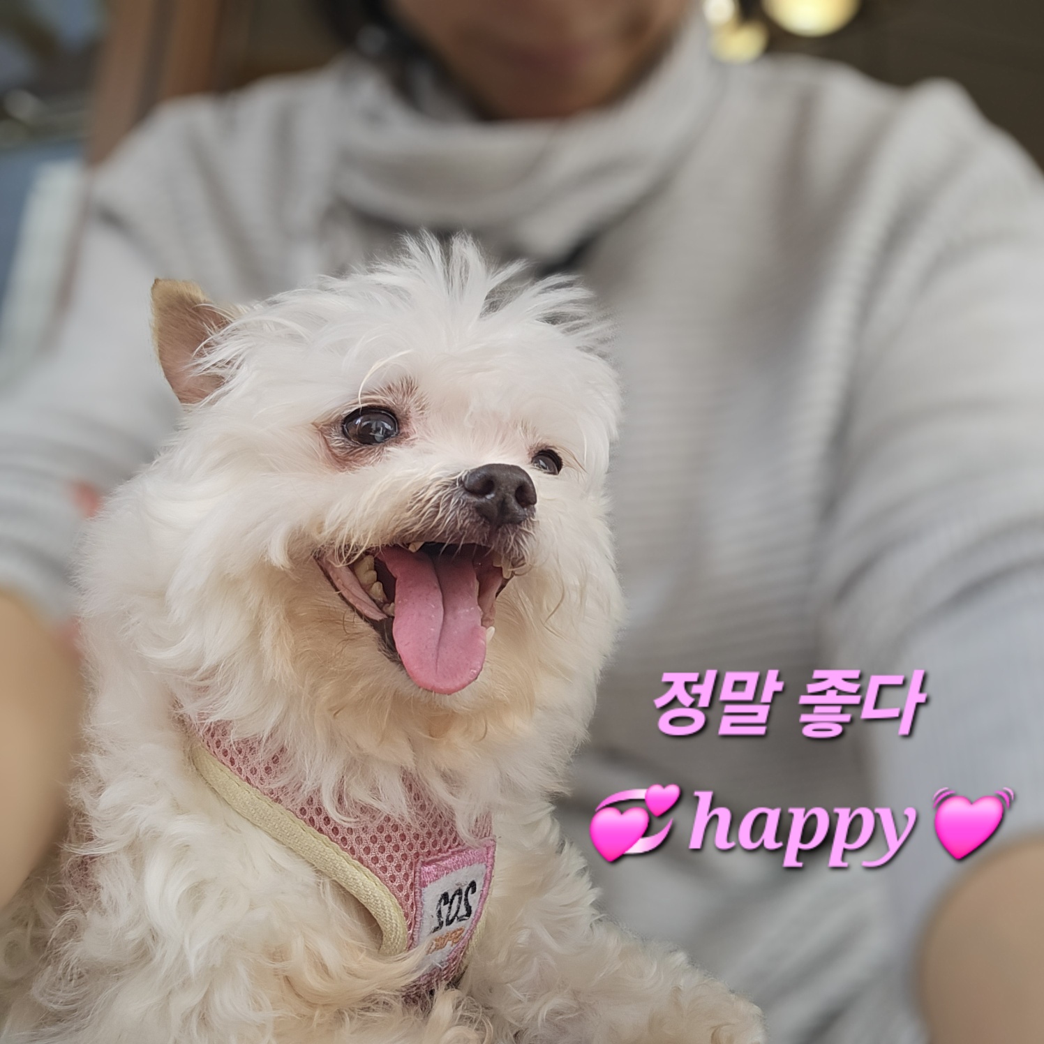 라희 자랑하겠습니다 ^_^