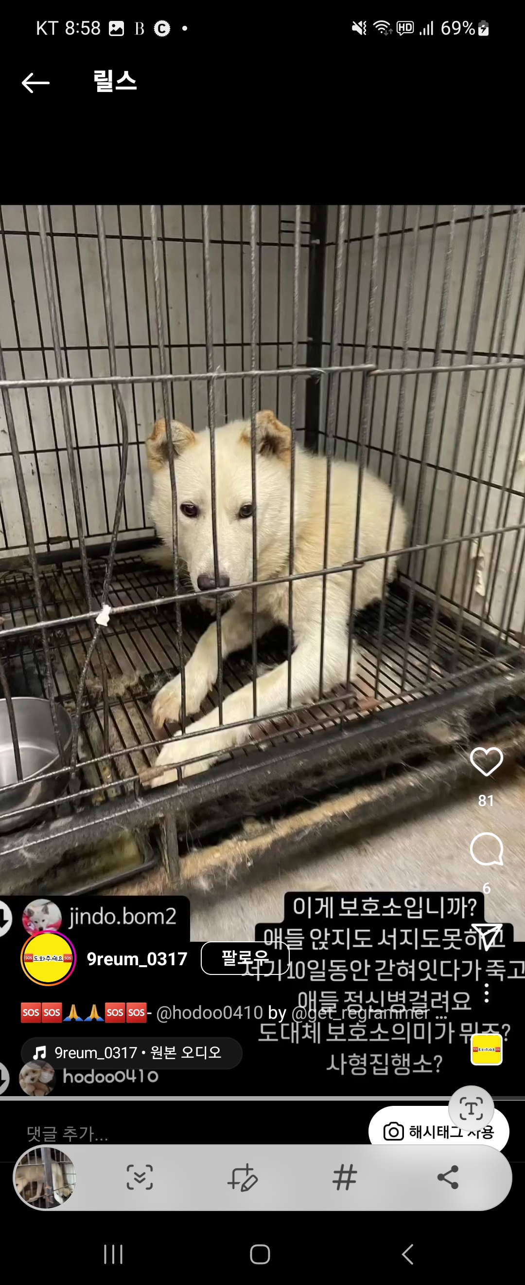 강화 유기견보호소 실체