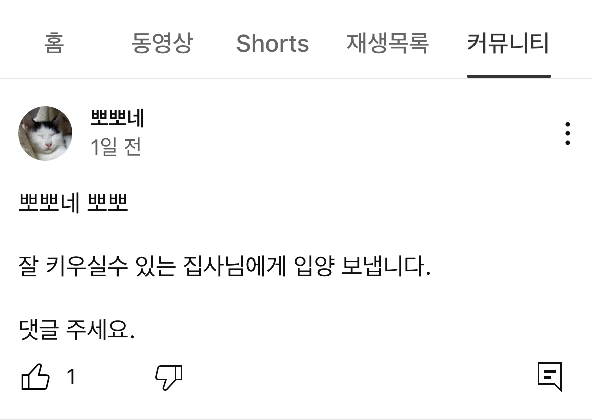 고양이 학대 의심 유튜브채널 제보합니다!!!