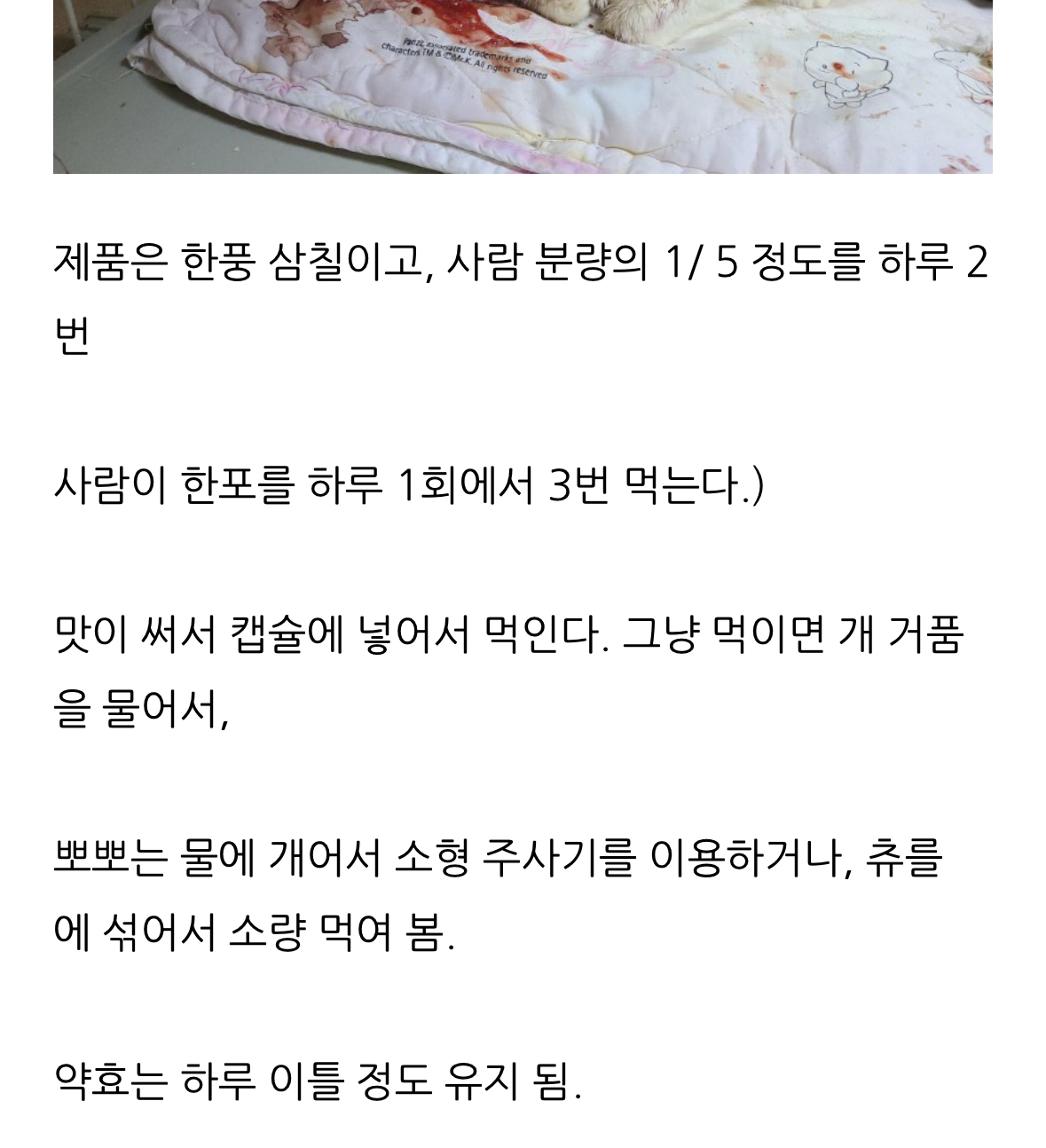 고양이 학대 의심 유튜브채널 제보합니다!!!