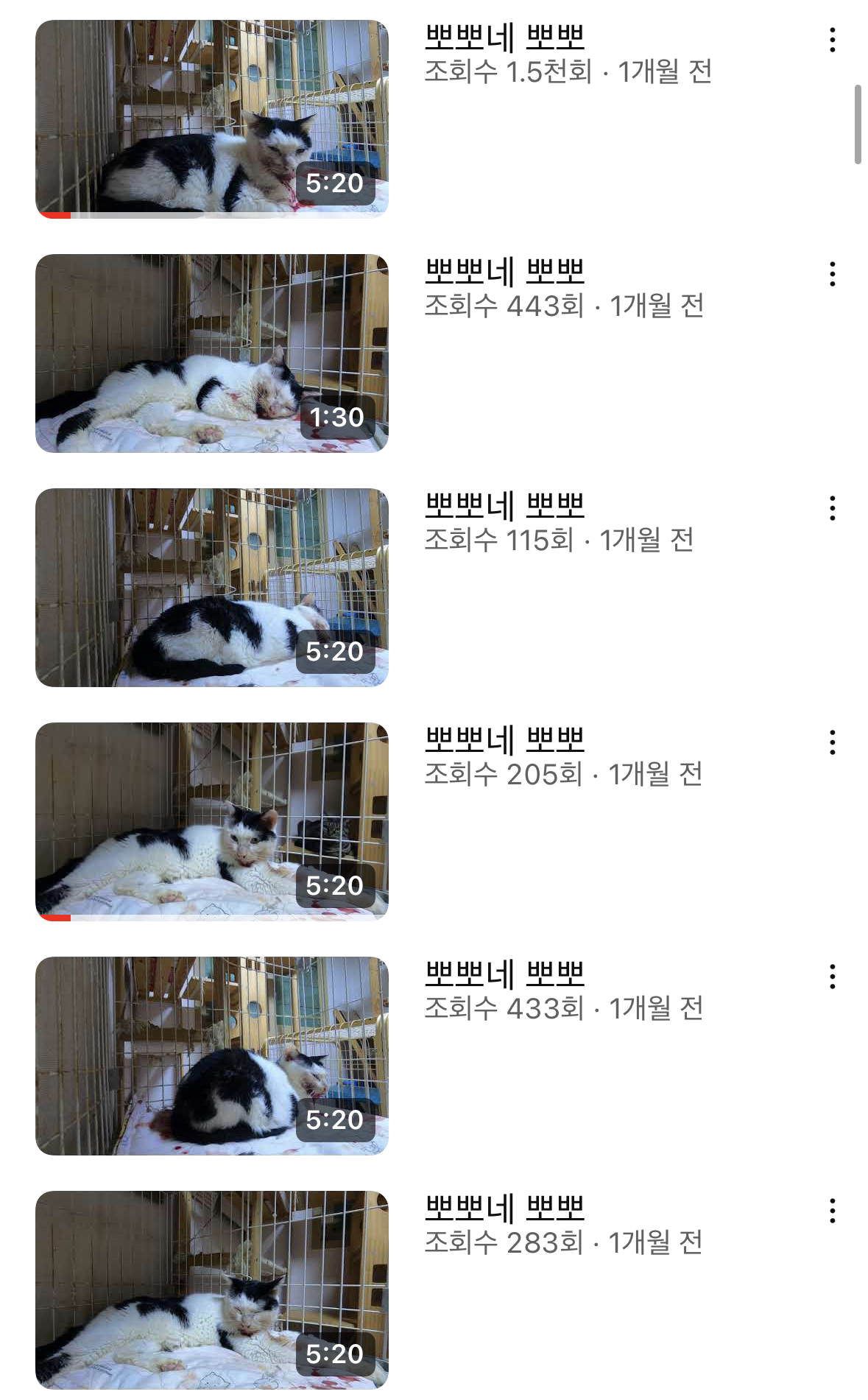 고양이 학대 의심 유튜브채널 제보합니다!!!
