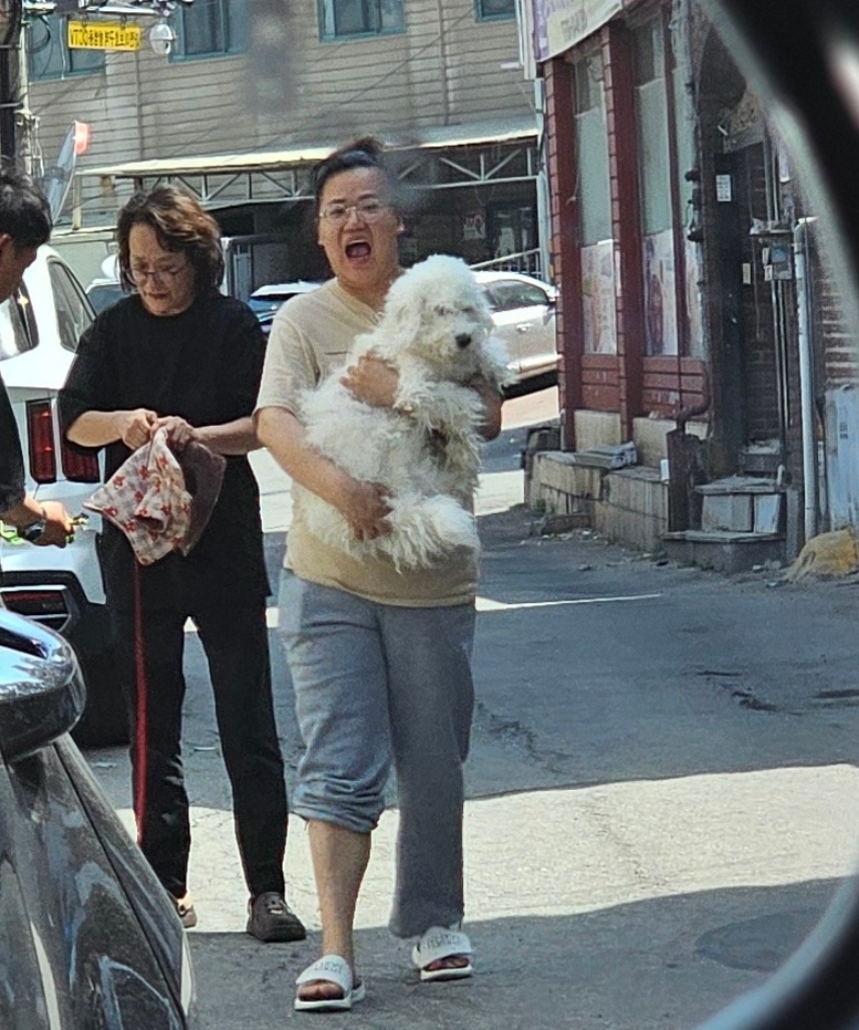 2살안된 방치견 살려주세요..