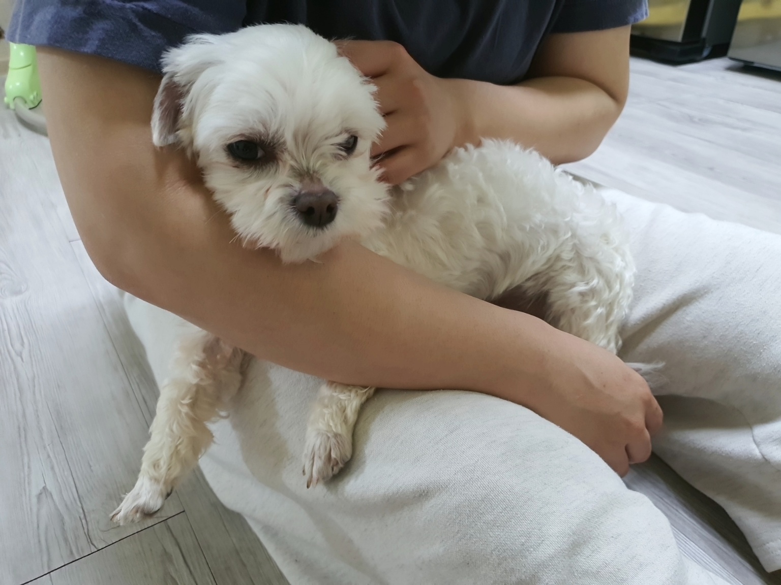 더덕이와의 일주일^^