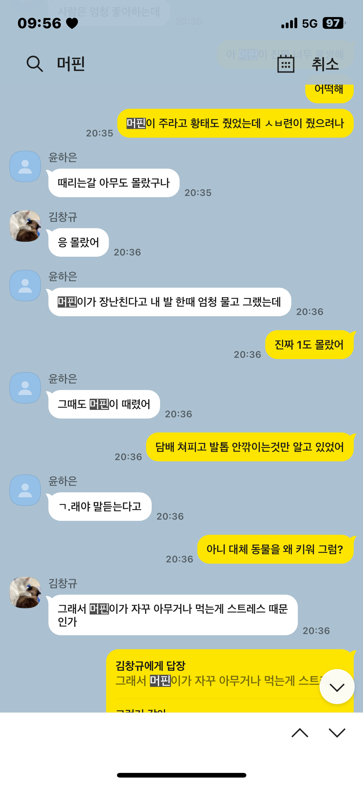 고양이 학대 구조요청 드립니다