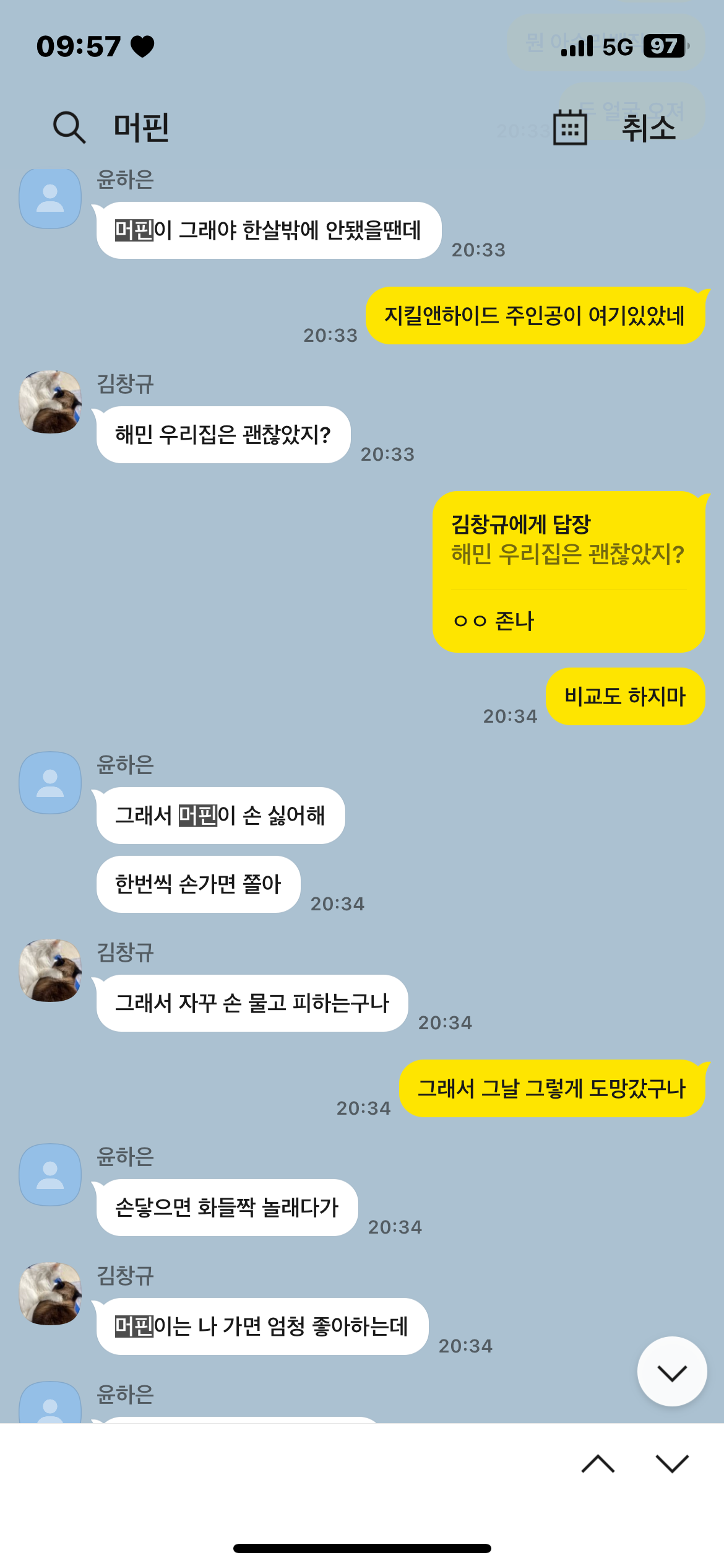 고양이 학대 구조요청 드립니다