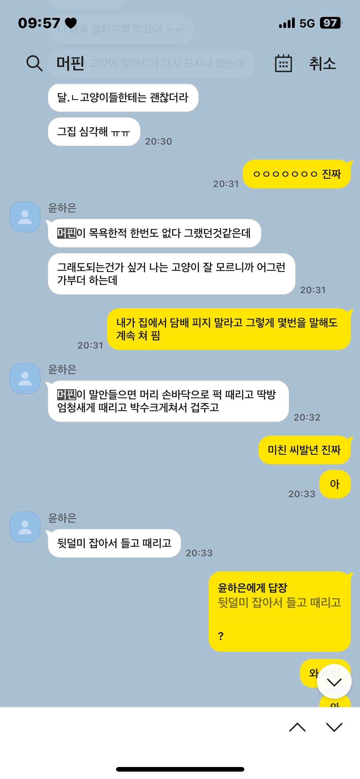 고양이 학대 구조요청 드립니다